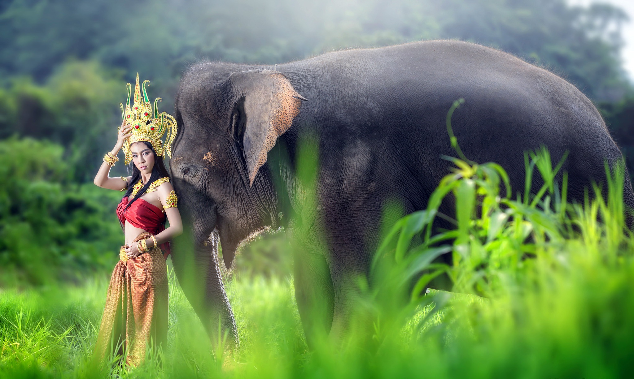 Model Traditional Costume Thai Elephant Brunette 2047x1225