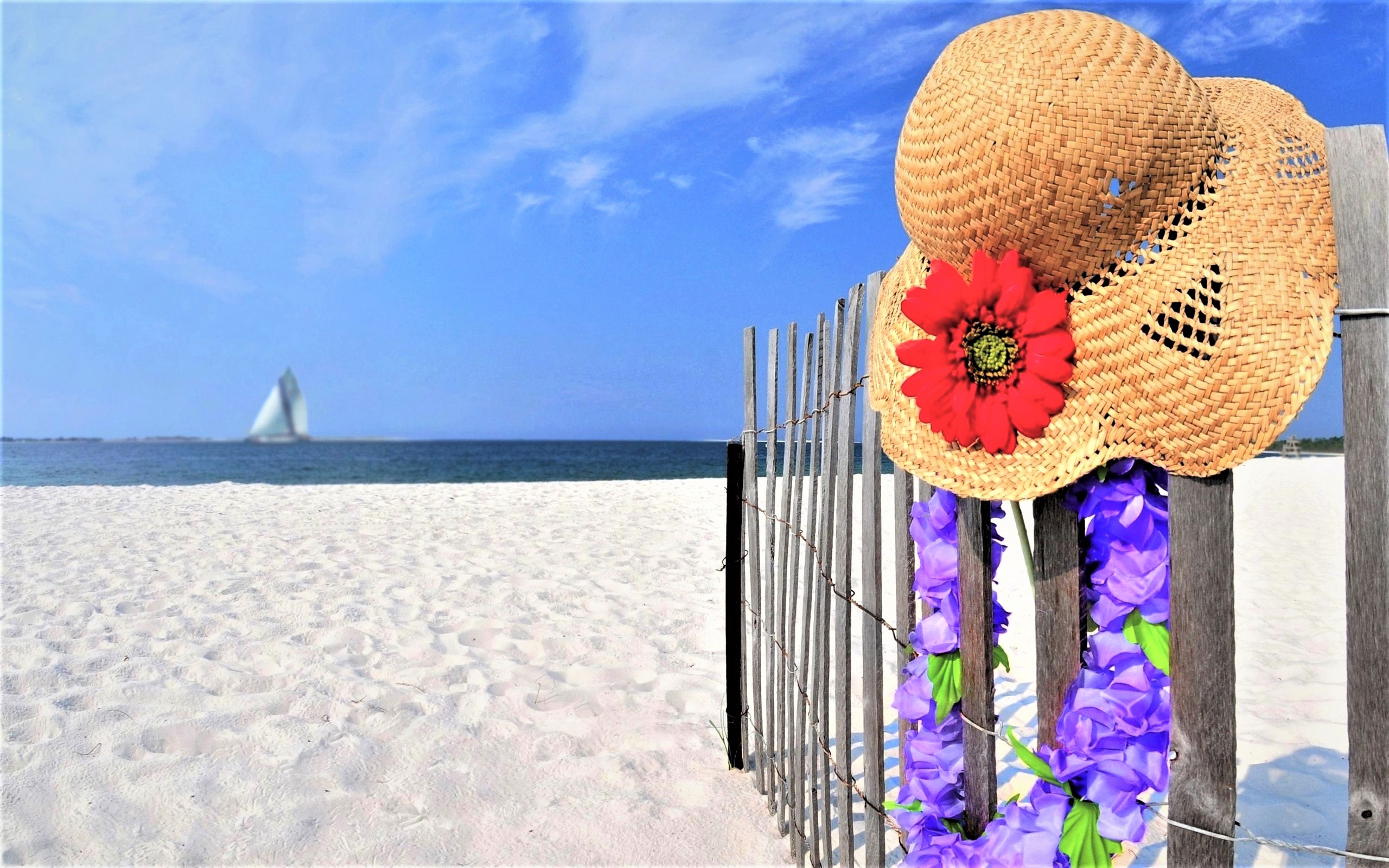 Photography Straw Hat Flower Beach Ocean Sea 2560x1600