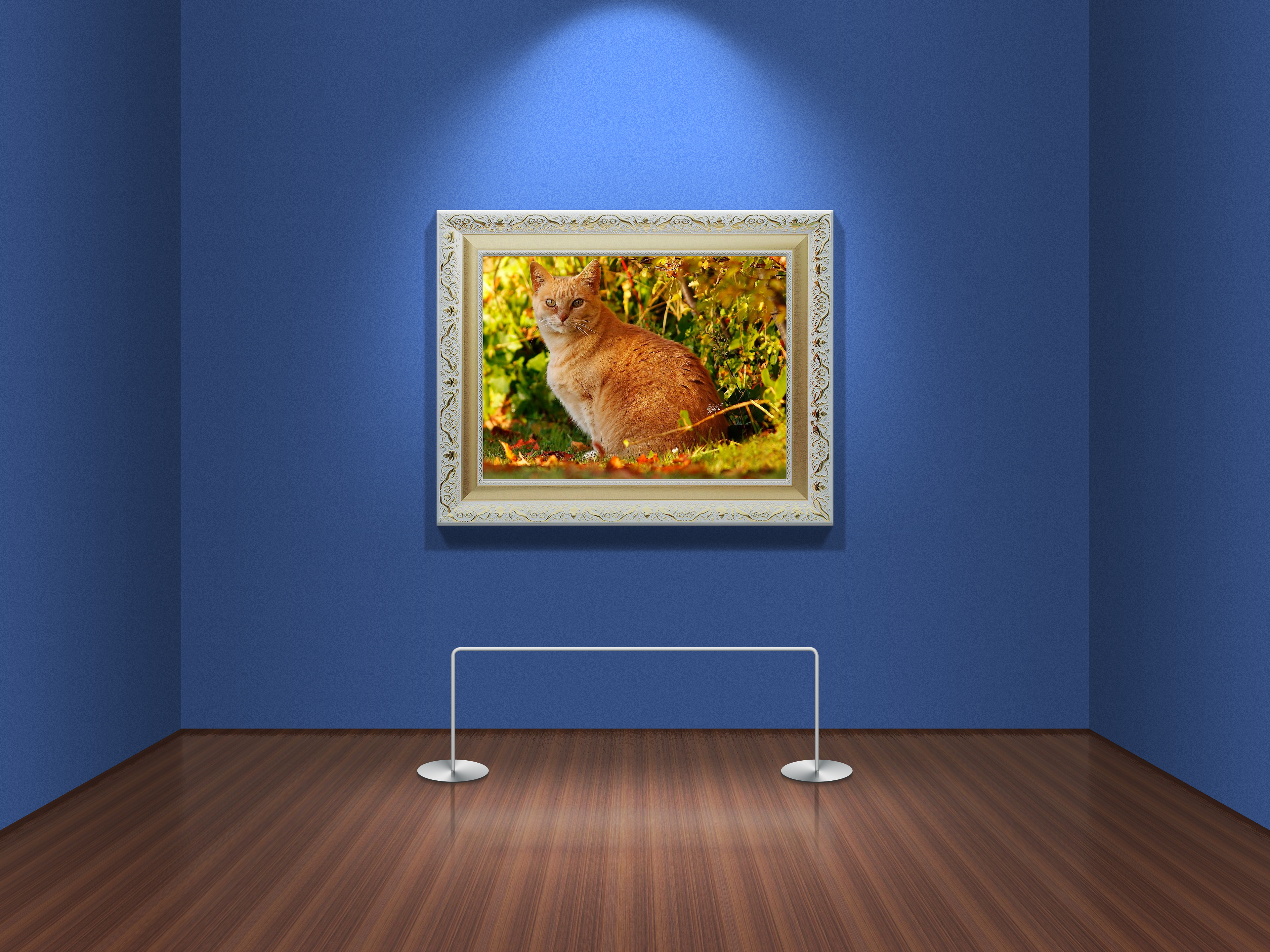 Art Gallery Picture Frames Room Cats 3840x2880