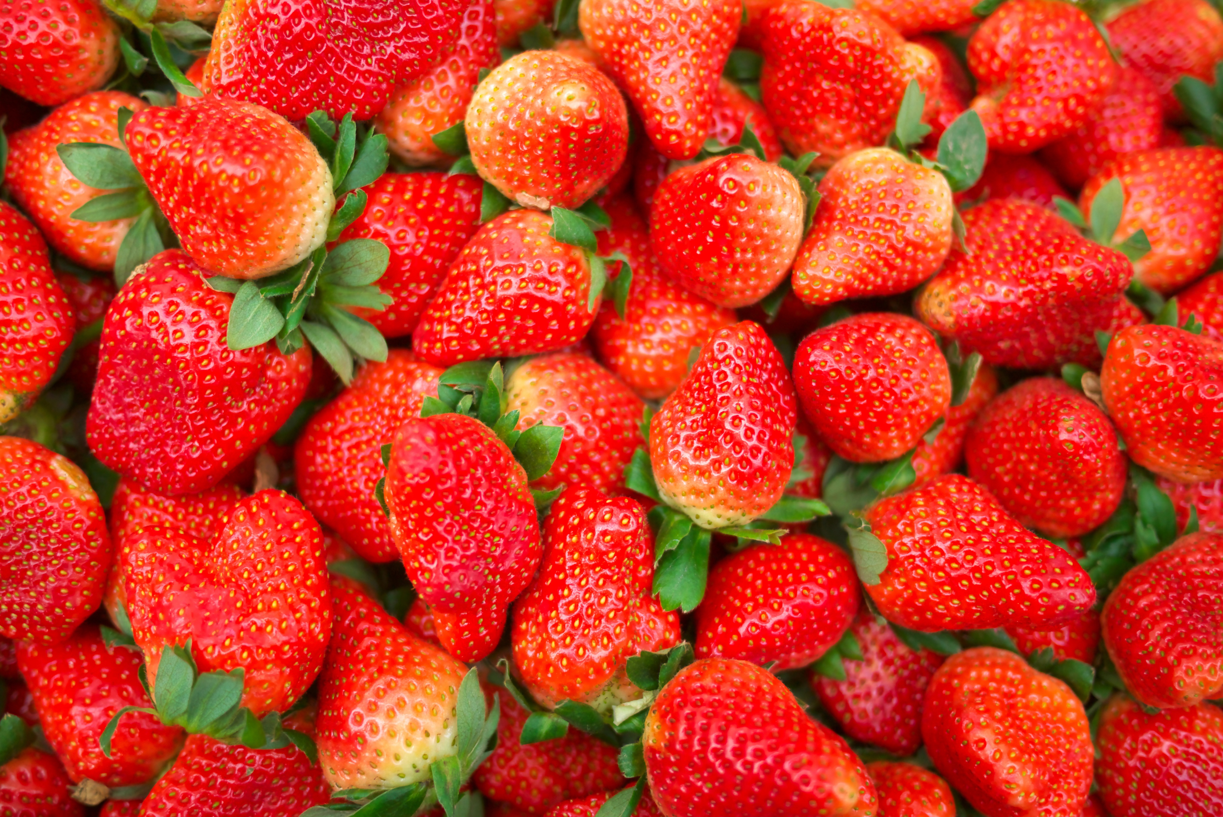 Food Strawberry 4000x2672