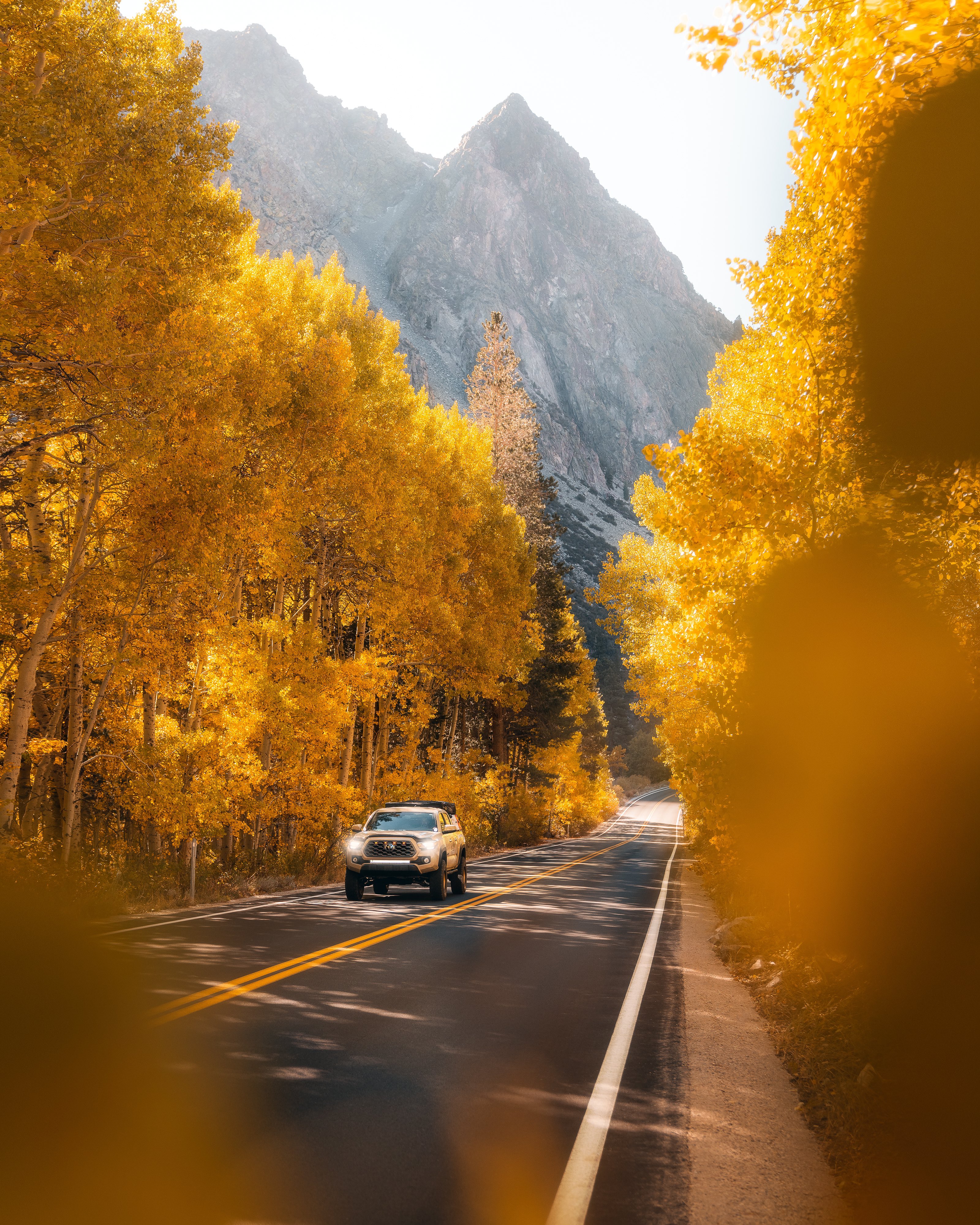 Trees Road Car Mountains Fall Vertical 3200x4000