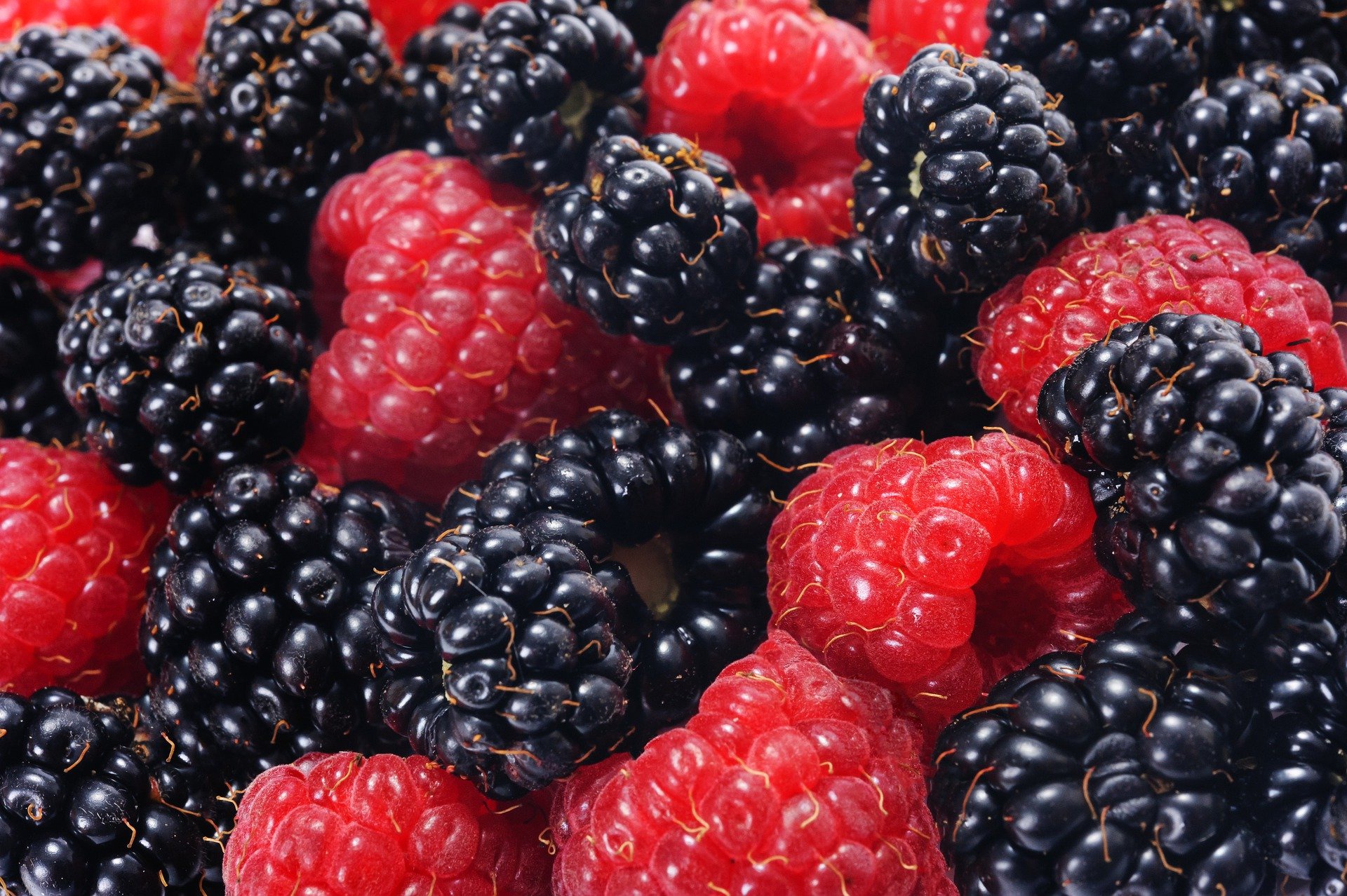 Berry Blackberry Fruit Raspberry 1920x1278