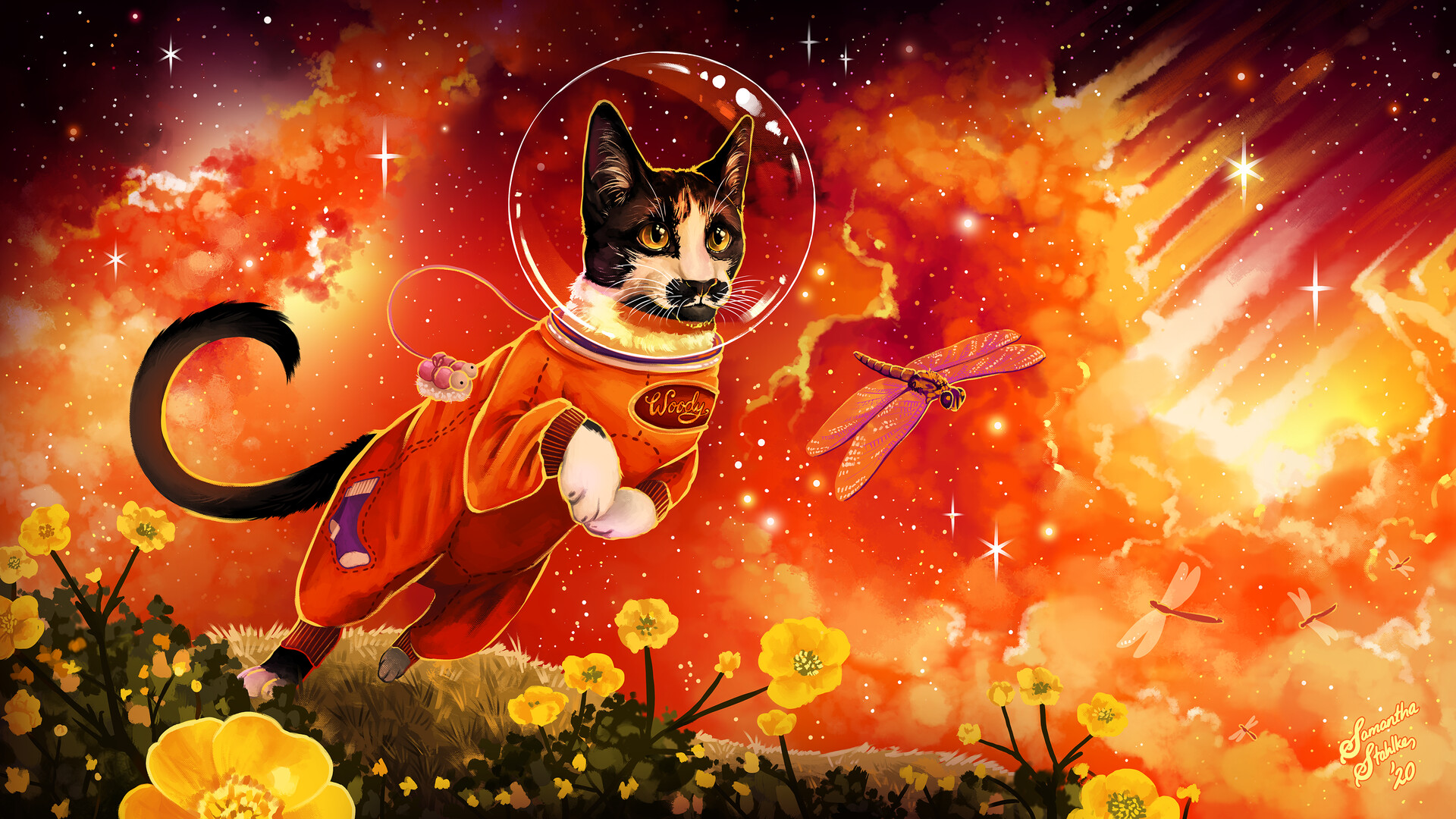 Cats Animals Astronaut Artwork 1920x1080