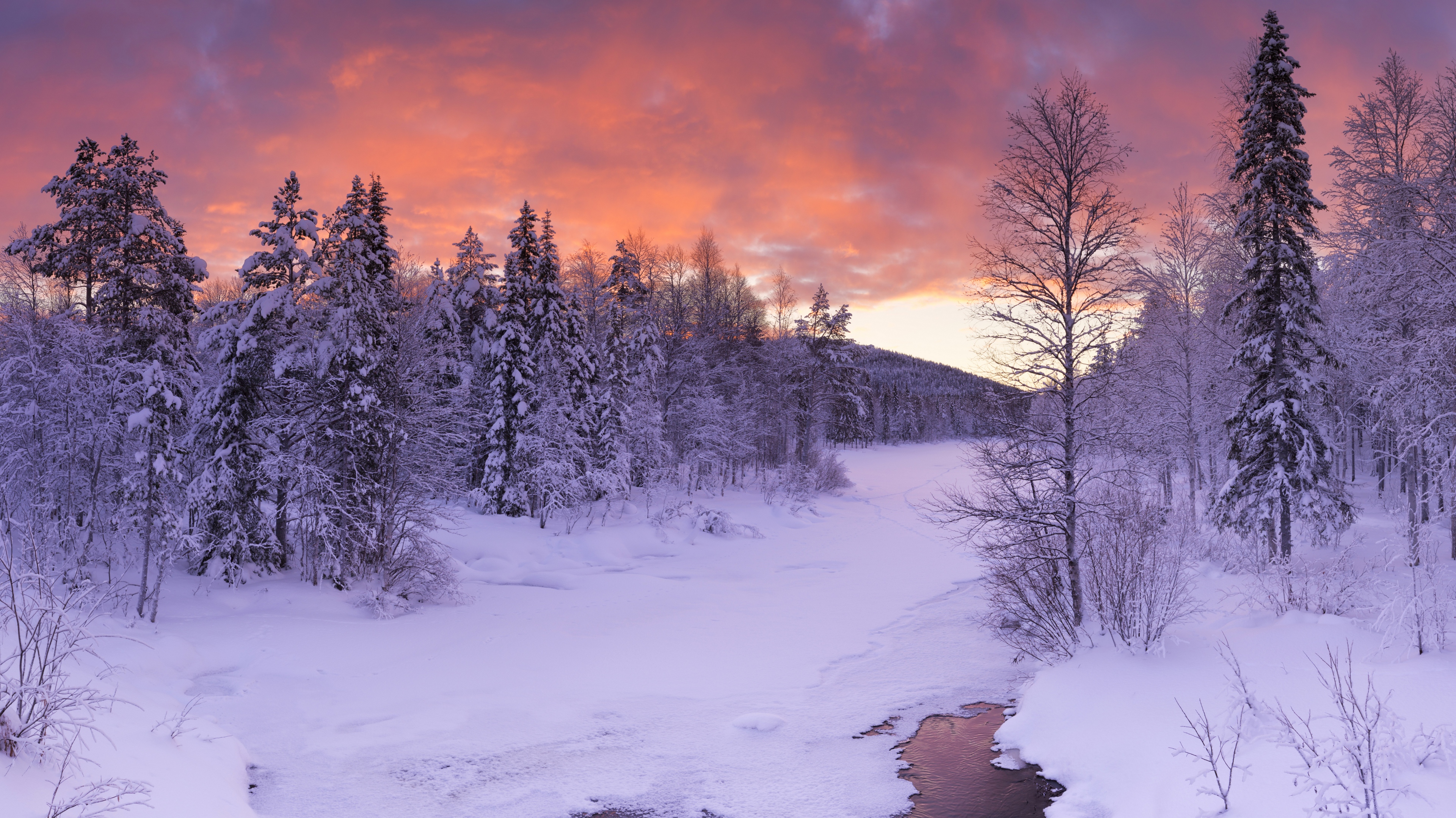 Nature Landscape Winter Snow Forest Finland Clouds Sunset Sky Ice 3840x2160