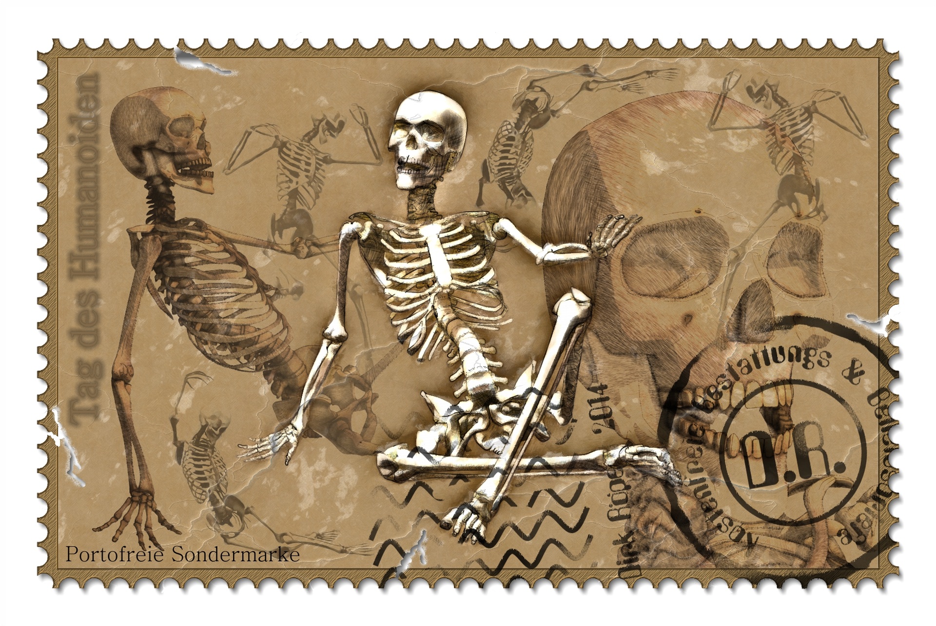 Dark German Skeleton Skull 1920x1286