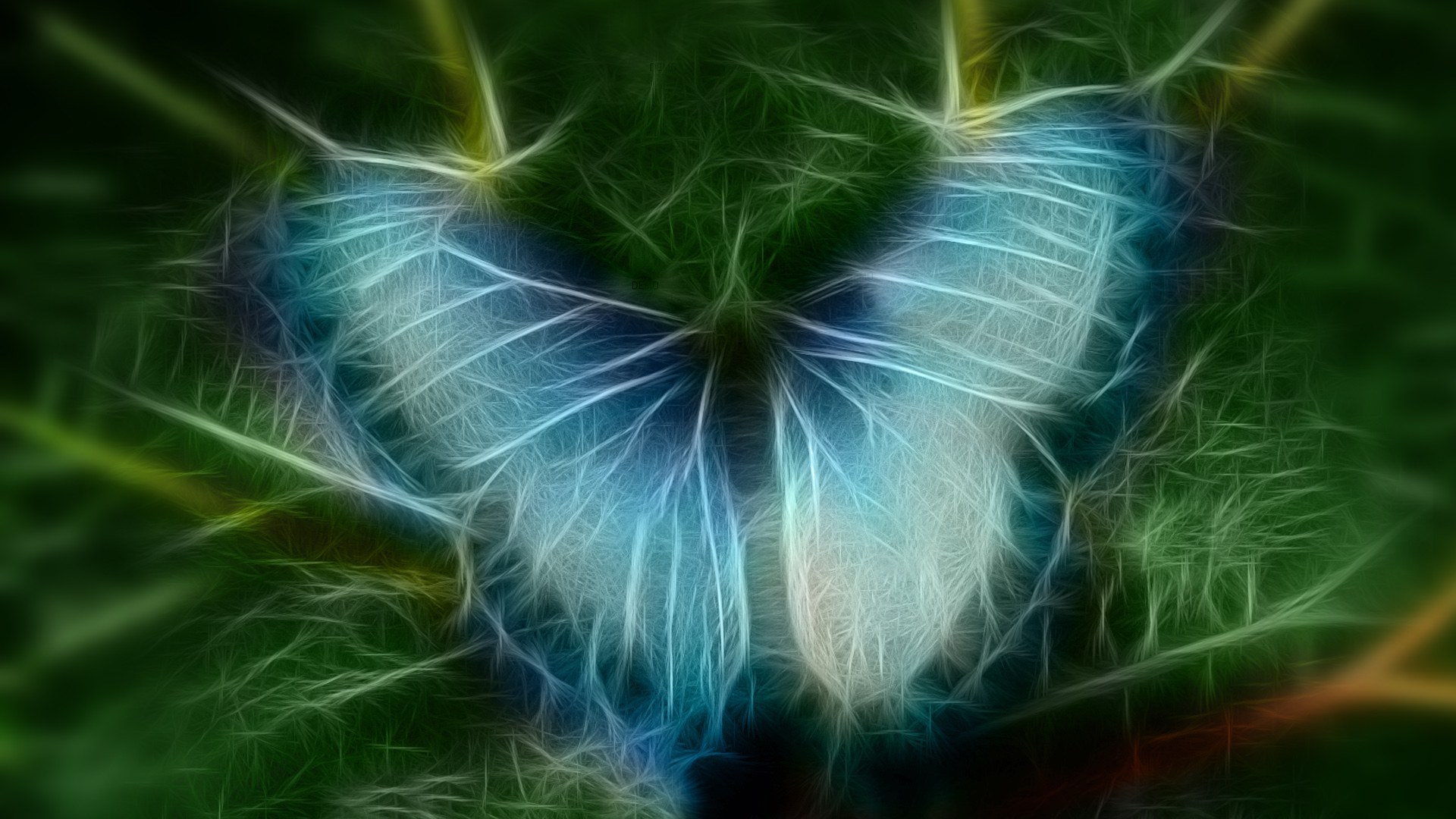 Colors Butterfly 1920x1080