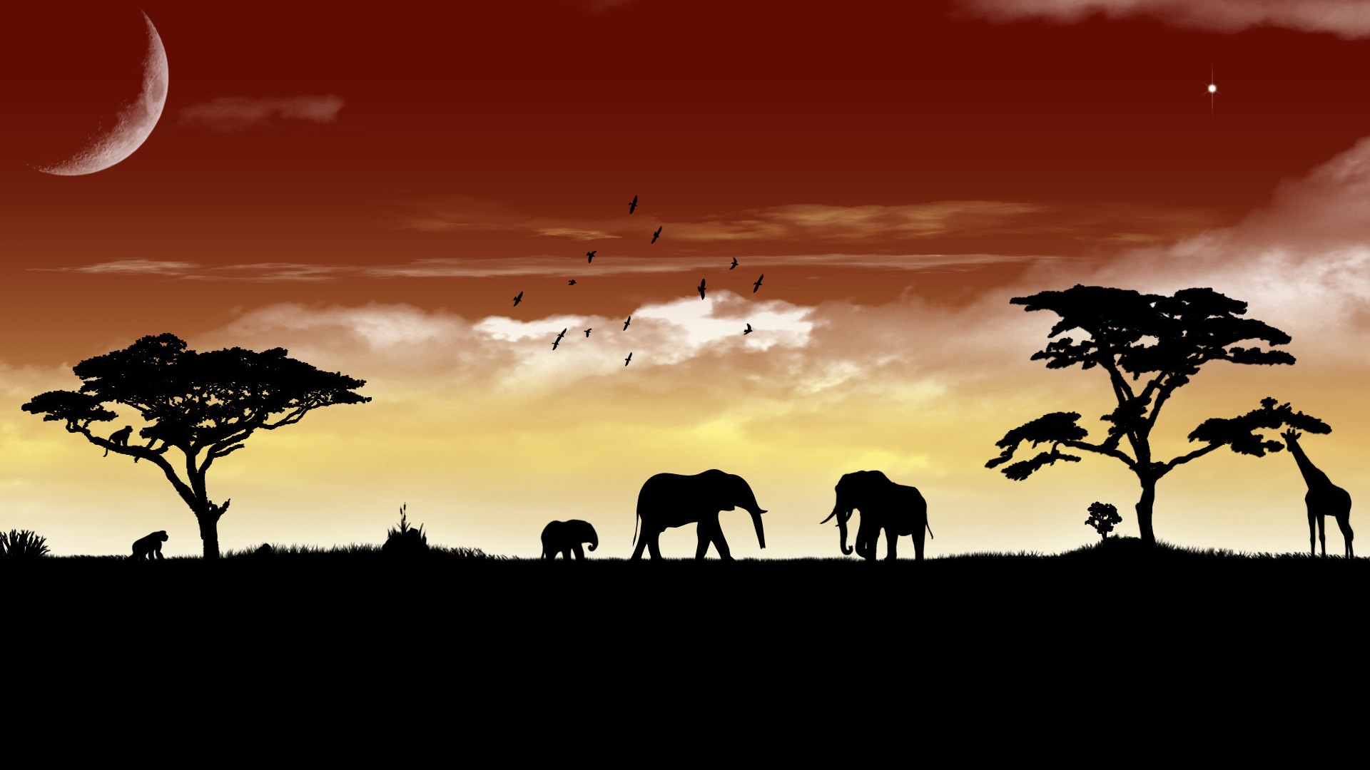 Silhouette Africa Elephant Giraffe Sunset 1920x1080