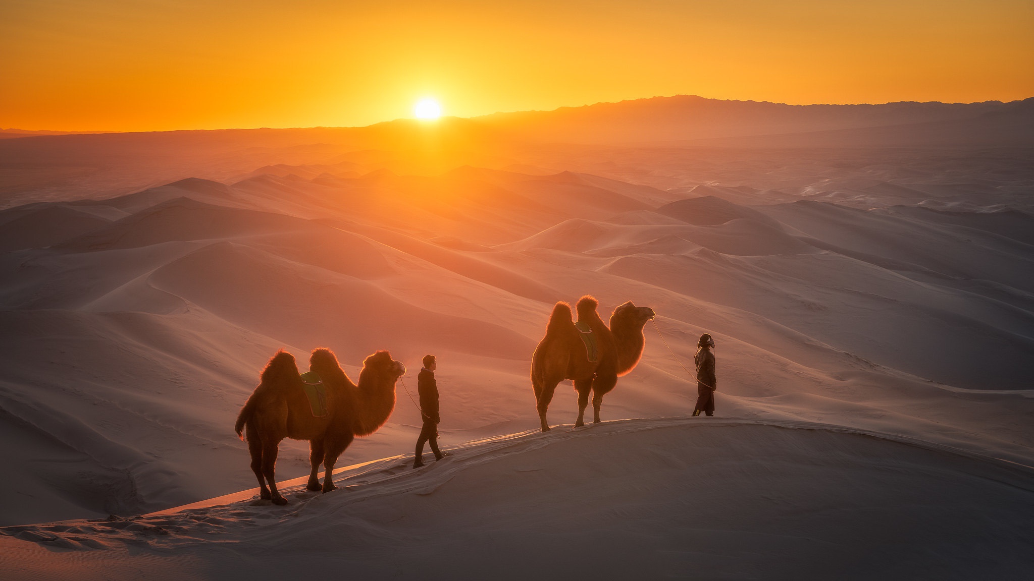 Desert Camel People Sun 2048x1152