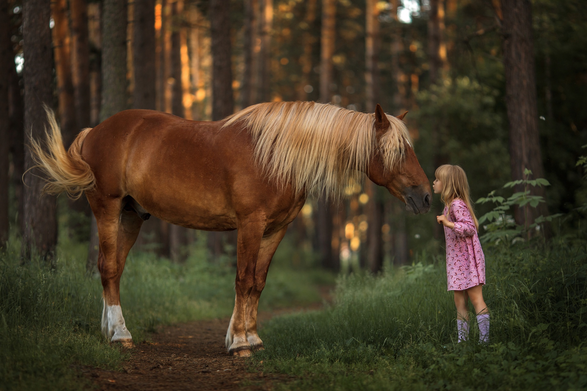 Horse Little Girl 1920x1280