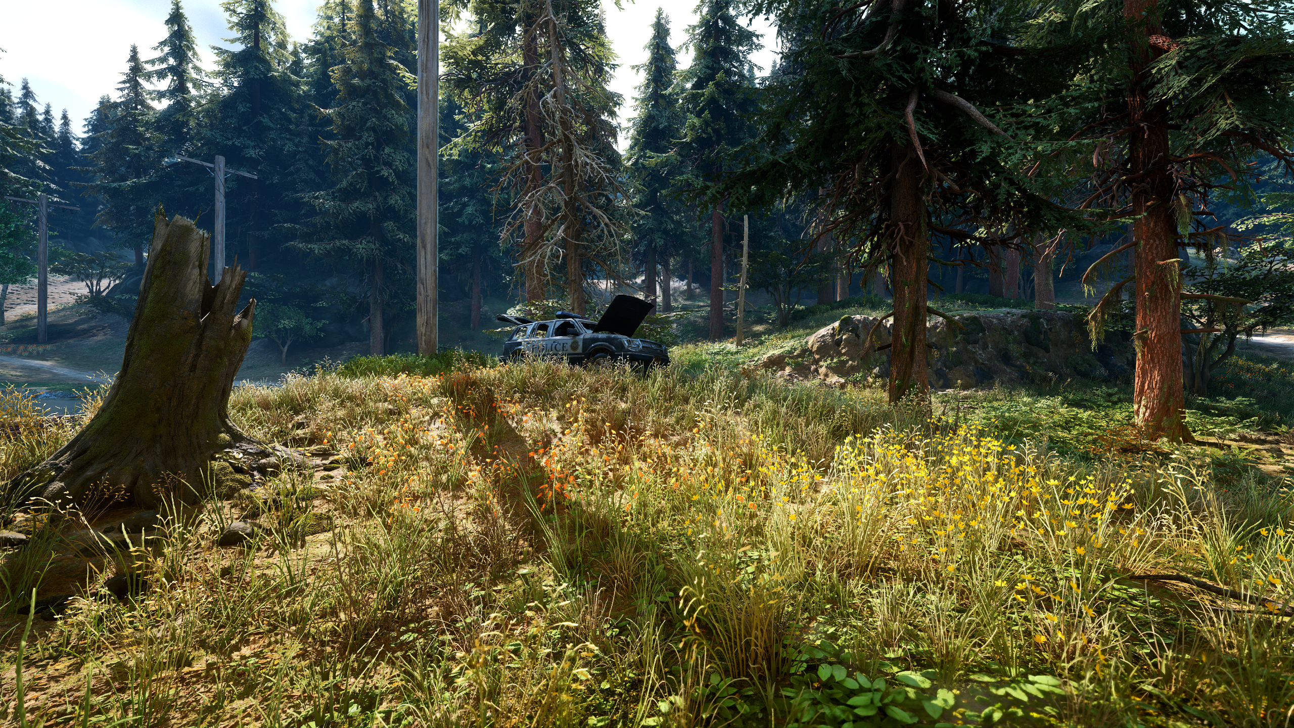 Days Gone Video Games Digital Art Apocalyptic Nature Zombies Game Art Bend Studios Forest Reshade 2560x1440