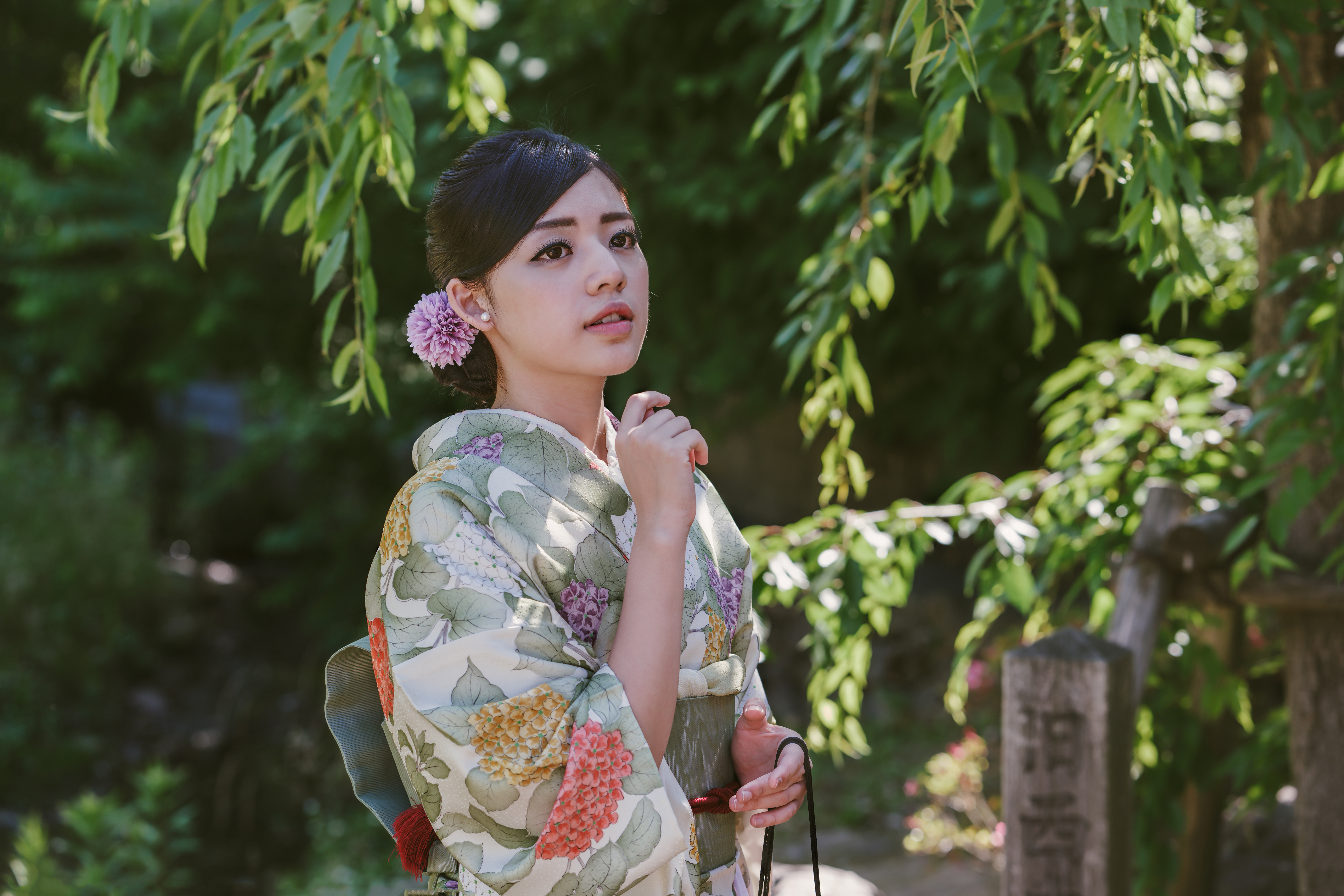 Model Women Brunette Asian Traditional Clothing Flower In Hair Foliage Women Outdoors Looking Away 5616x3746