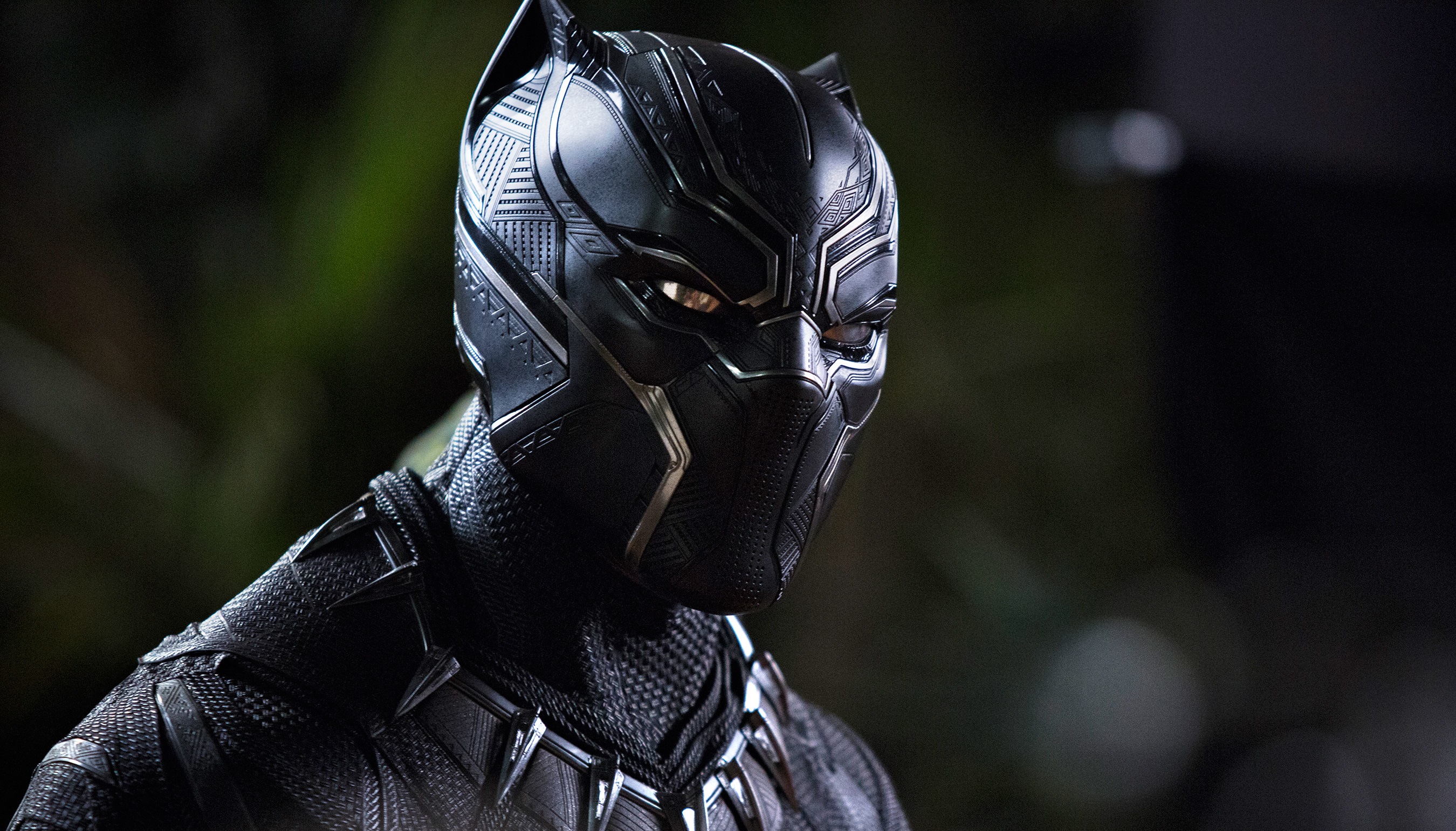 Movie Black Panther 2700x1542
