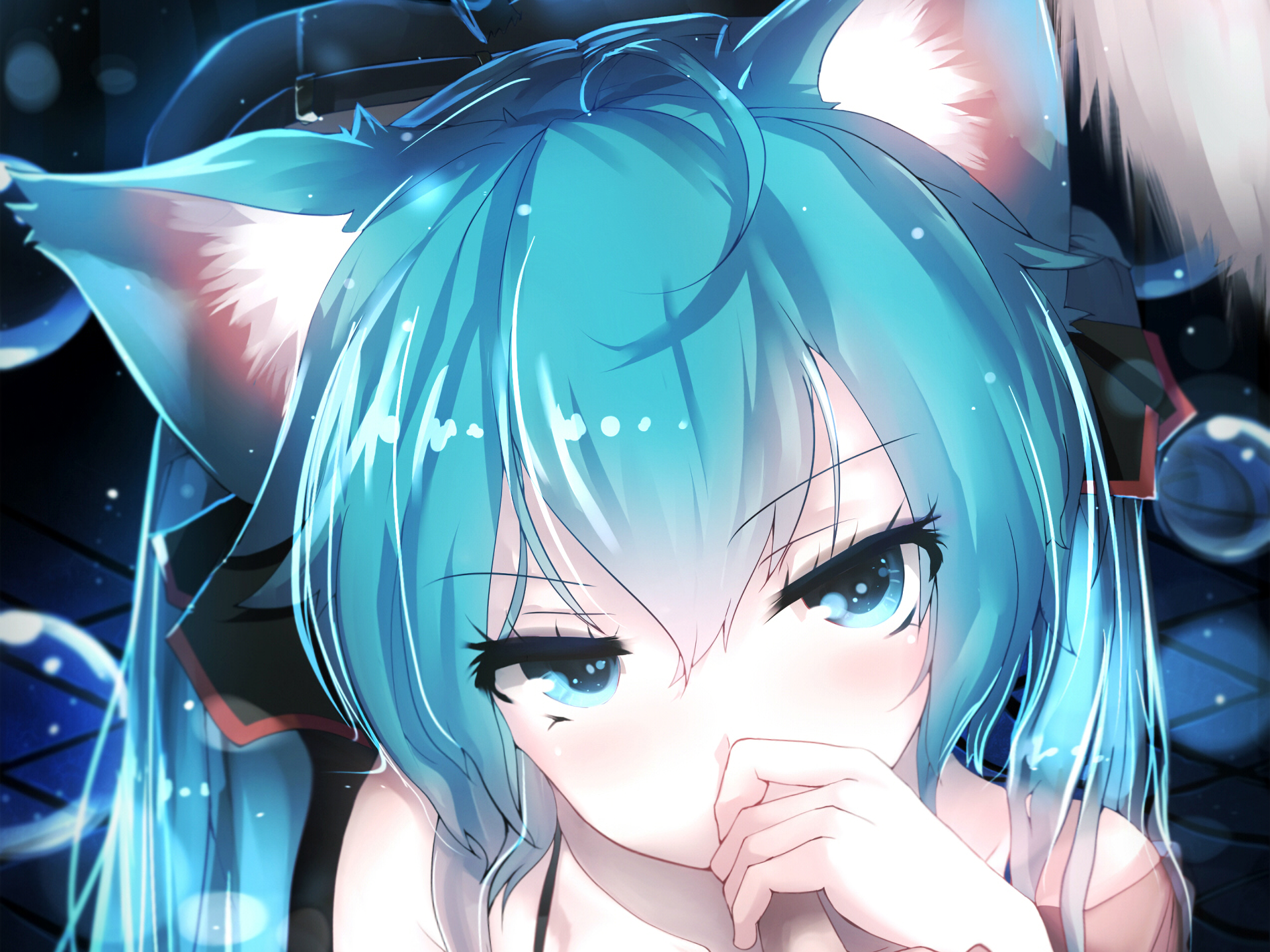 Hatsune Miku Cat Girl Anime Vocaloid Twintails Bubbles Long Hair Blue Hair Blue Eyes Ribbons Looking 1920x1440
