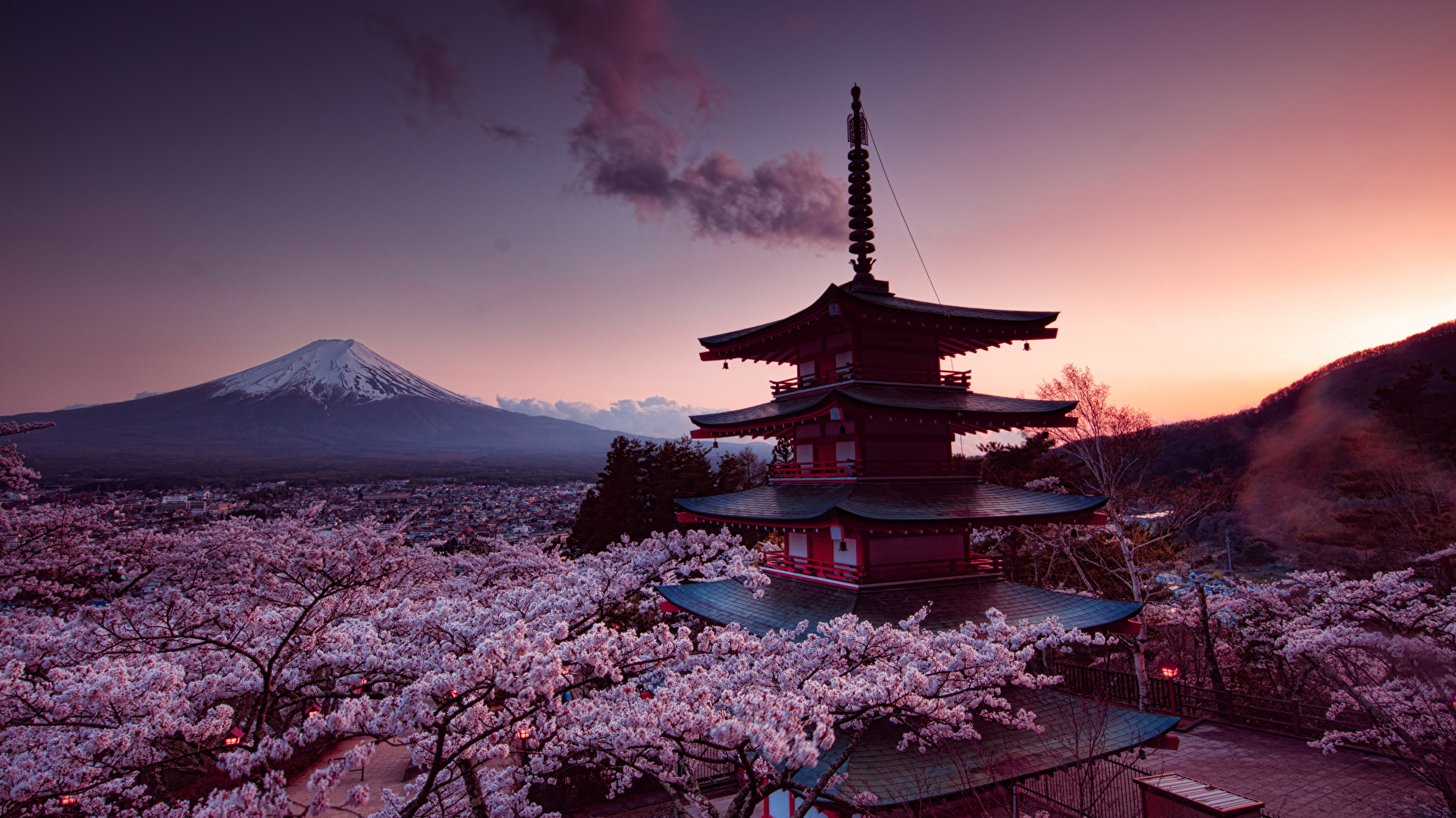 Japan Cherry Blossom Spring 1920x1080