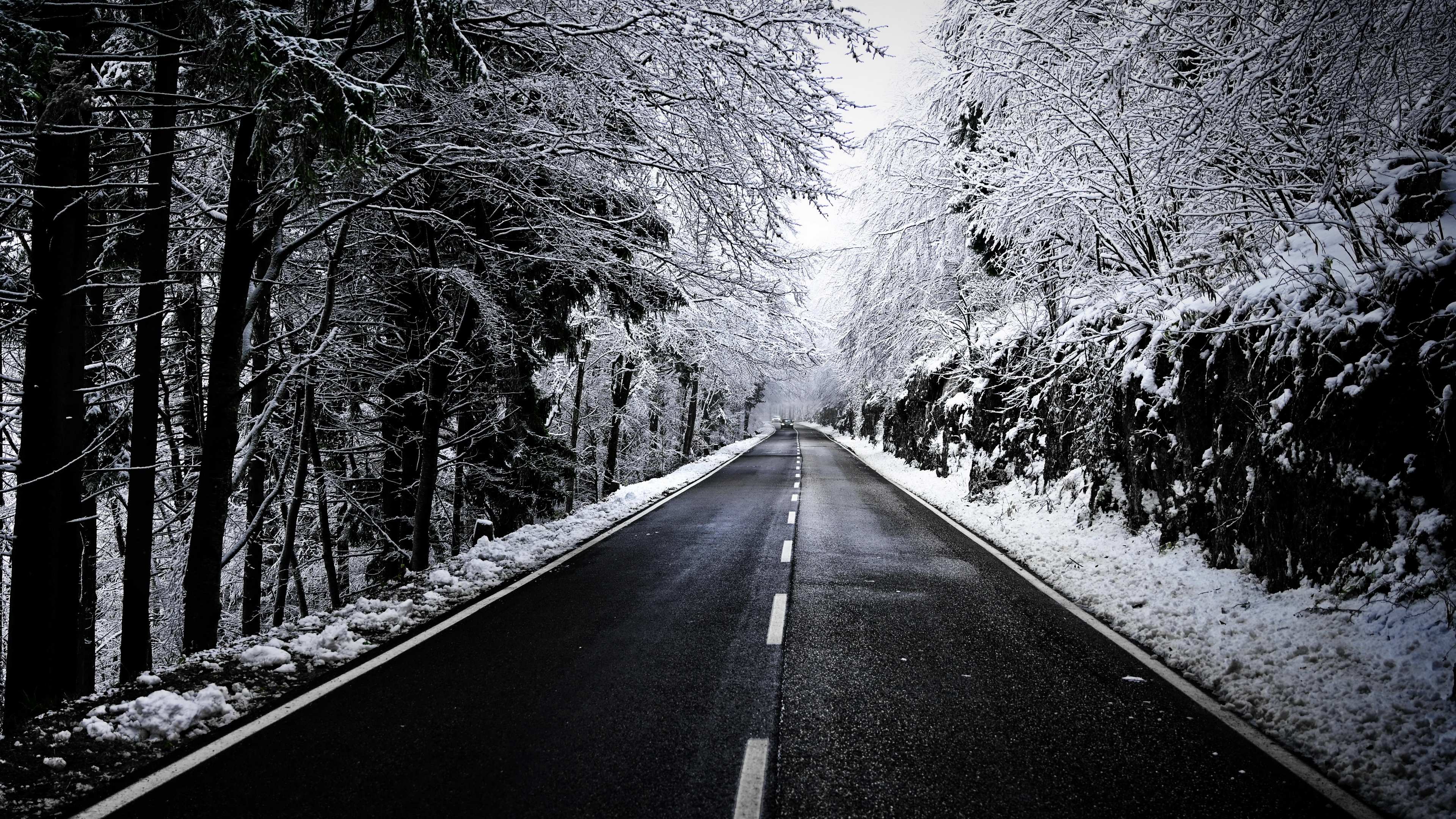 Road Winter Snow Black White Trees 3840x2160