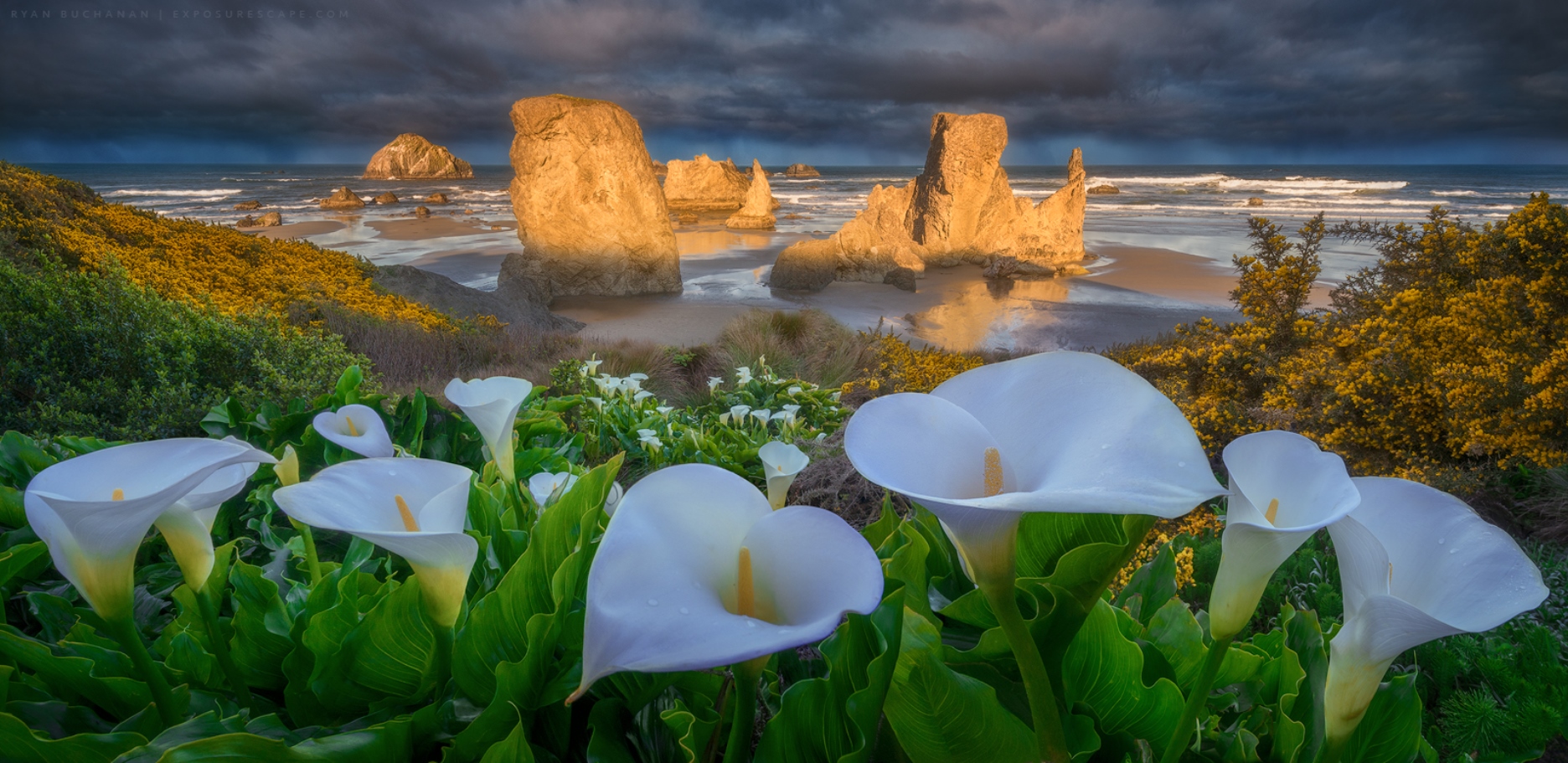 Bandon Beach Ocean Seascape Shore Oregon Cloud Calla Lily White Flower Horizon 1872x911