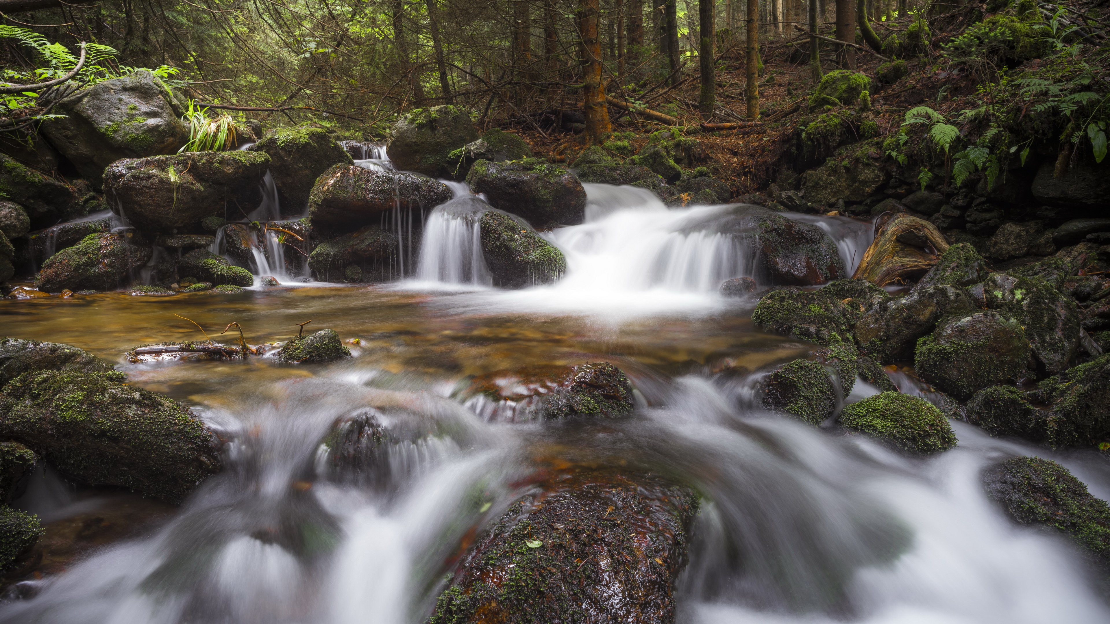 Nature Outdoors Water Creeks Stones Rock Trees 3840x2160