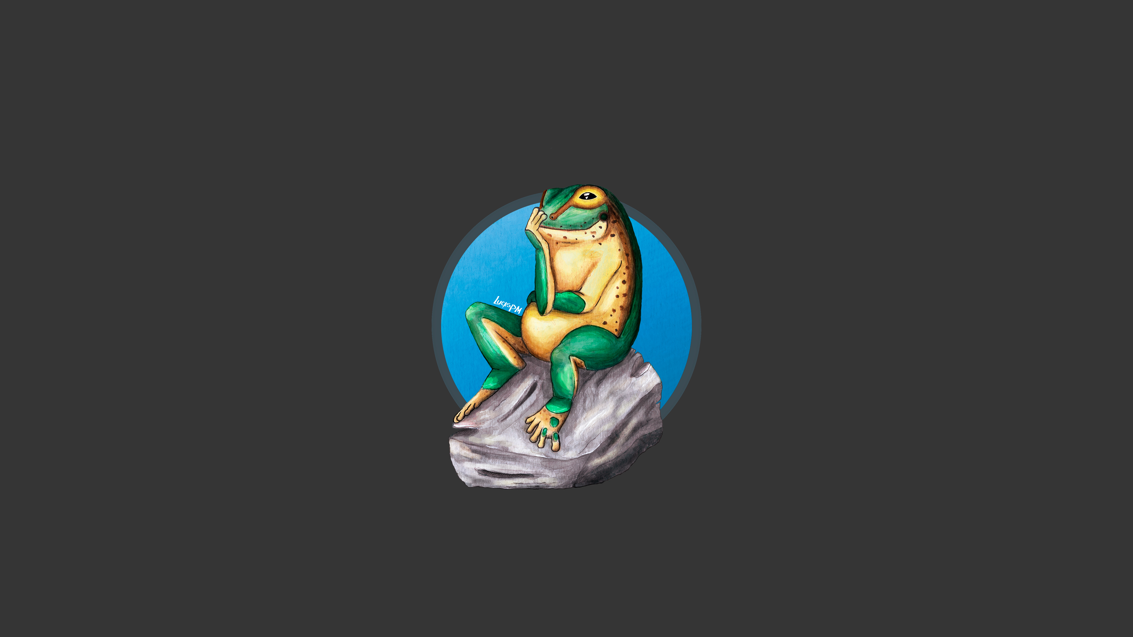 Frog Simple Simple Background Nature 3840x2160