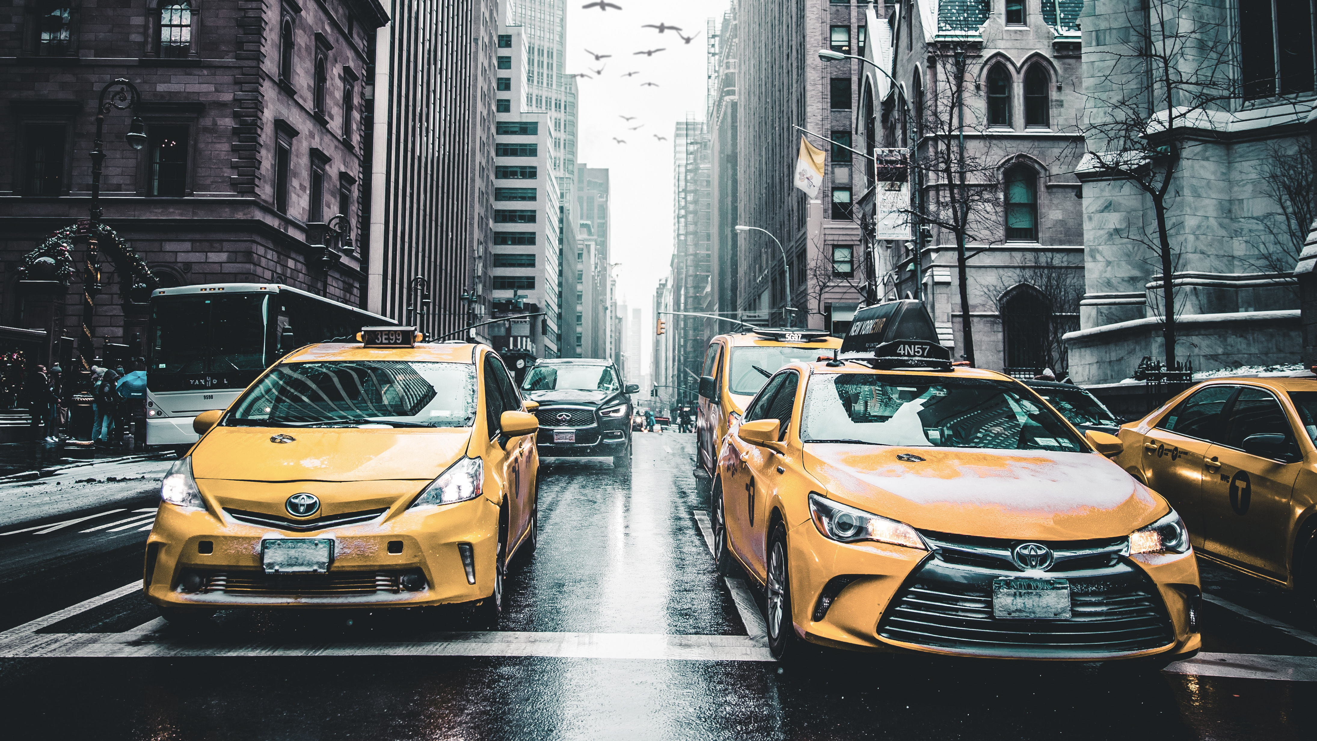 Andre Benz Taxi Yellow Cab Street New York City Birds Urban Street View 4380x2464
