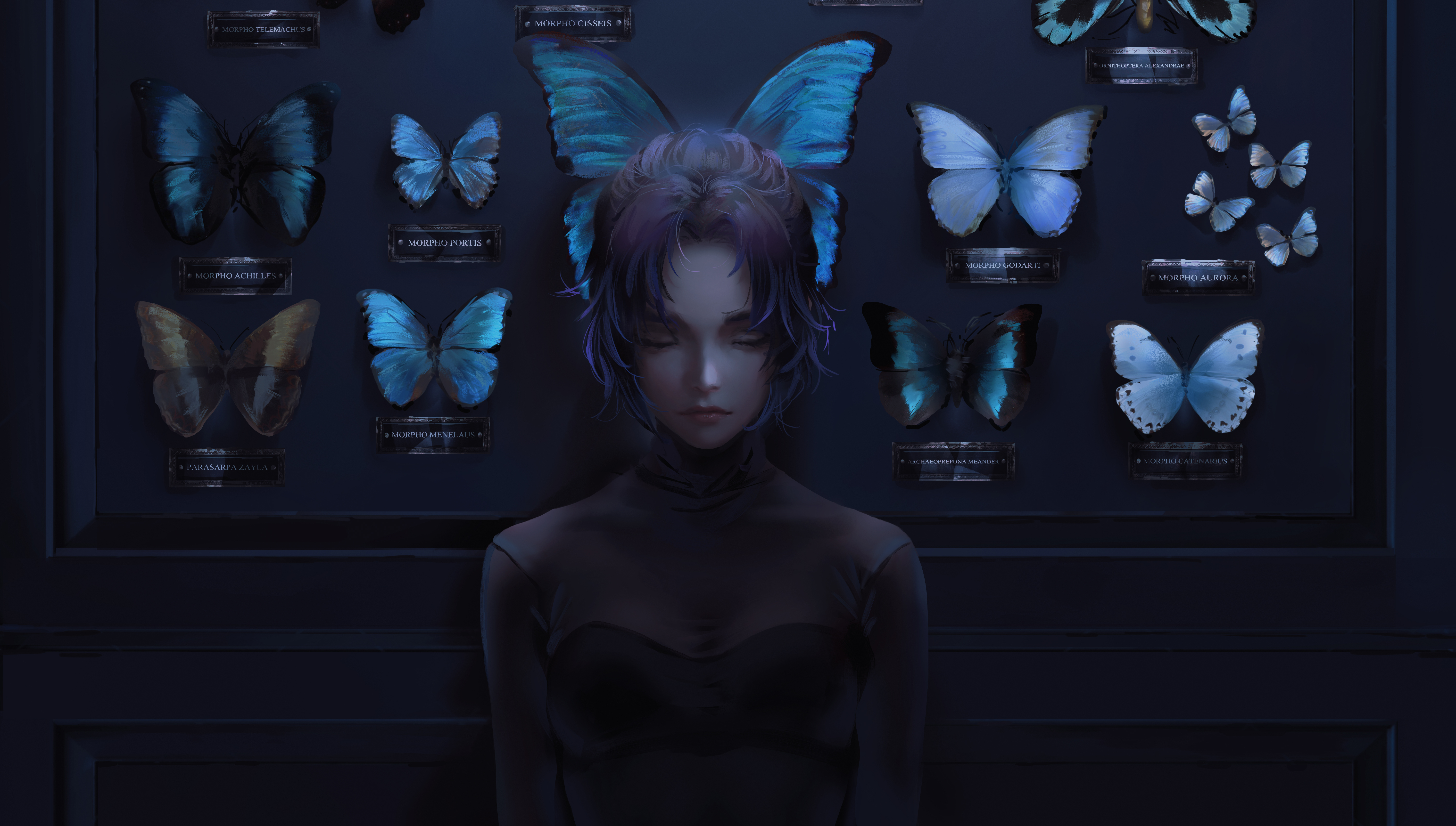 Черная бабочка 2021