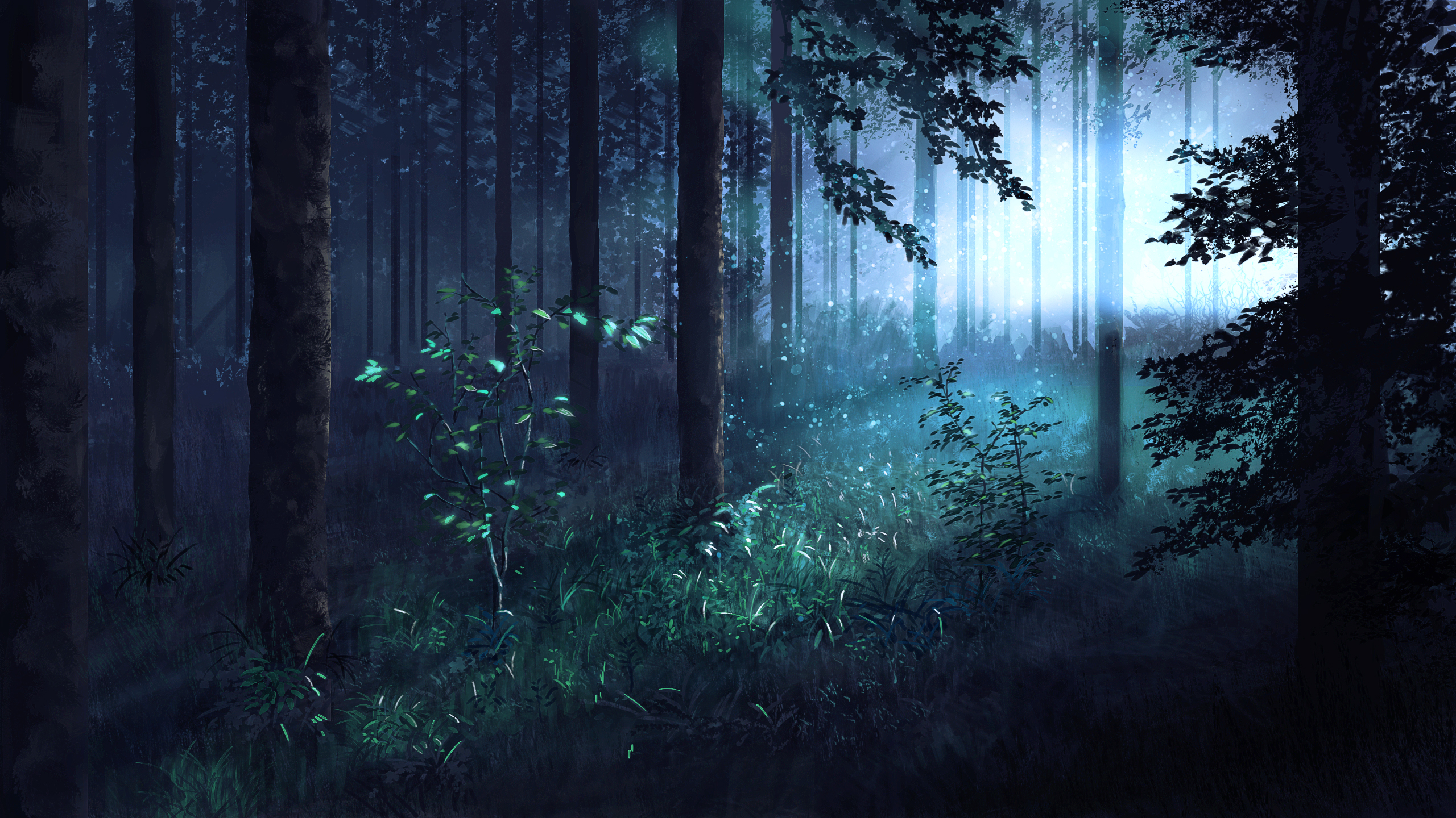 Forest 2560x1440