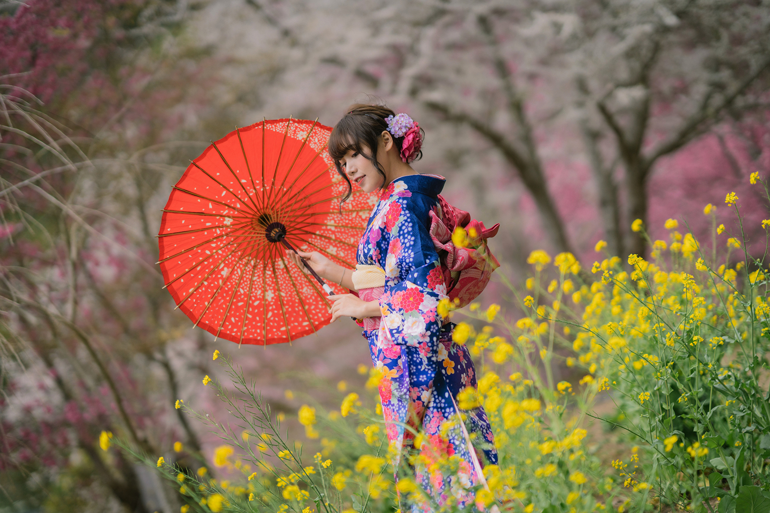 Asian Model Women Long Hair Dark Hair Traditional Clothing Flowers Depth Of Field Cherry Blossom Tre 2560x1707