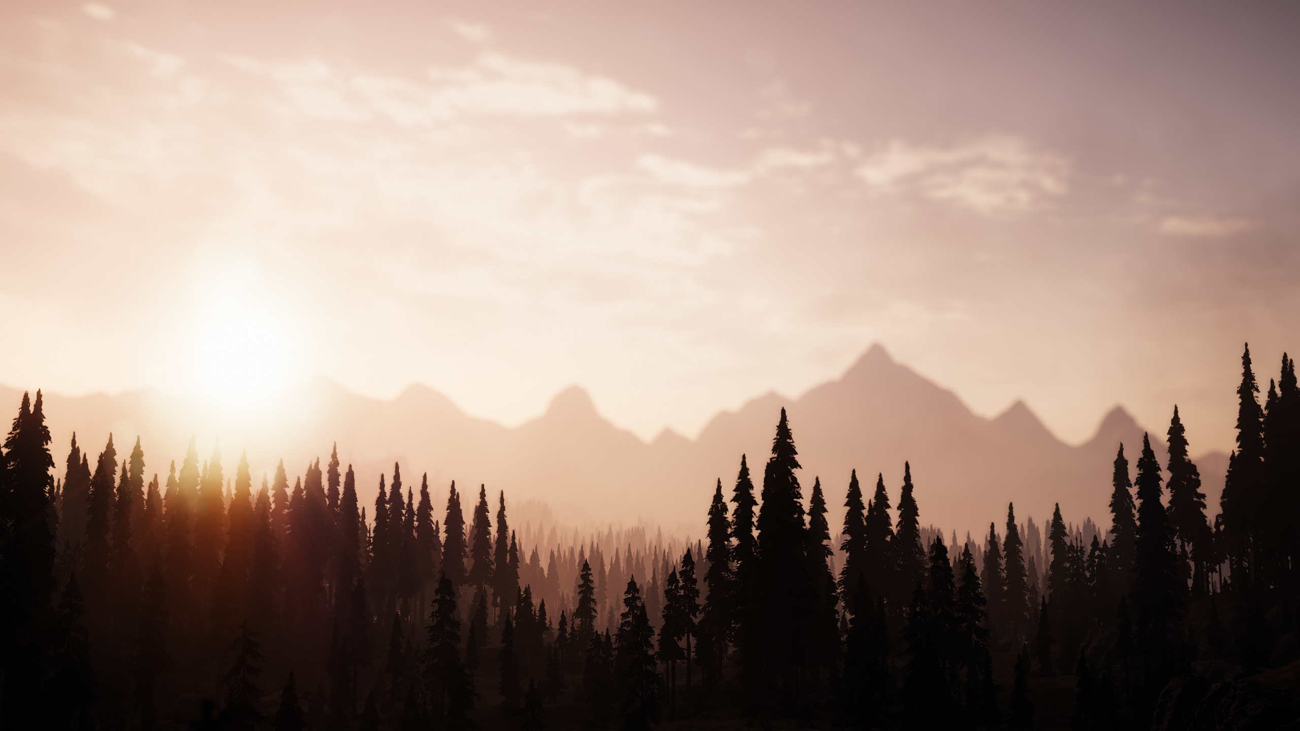 FarCry 5 Game CG Screen Shot Sunset Glow 2560x1440