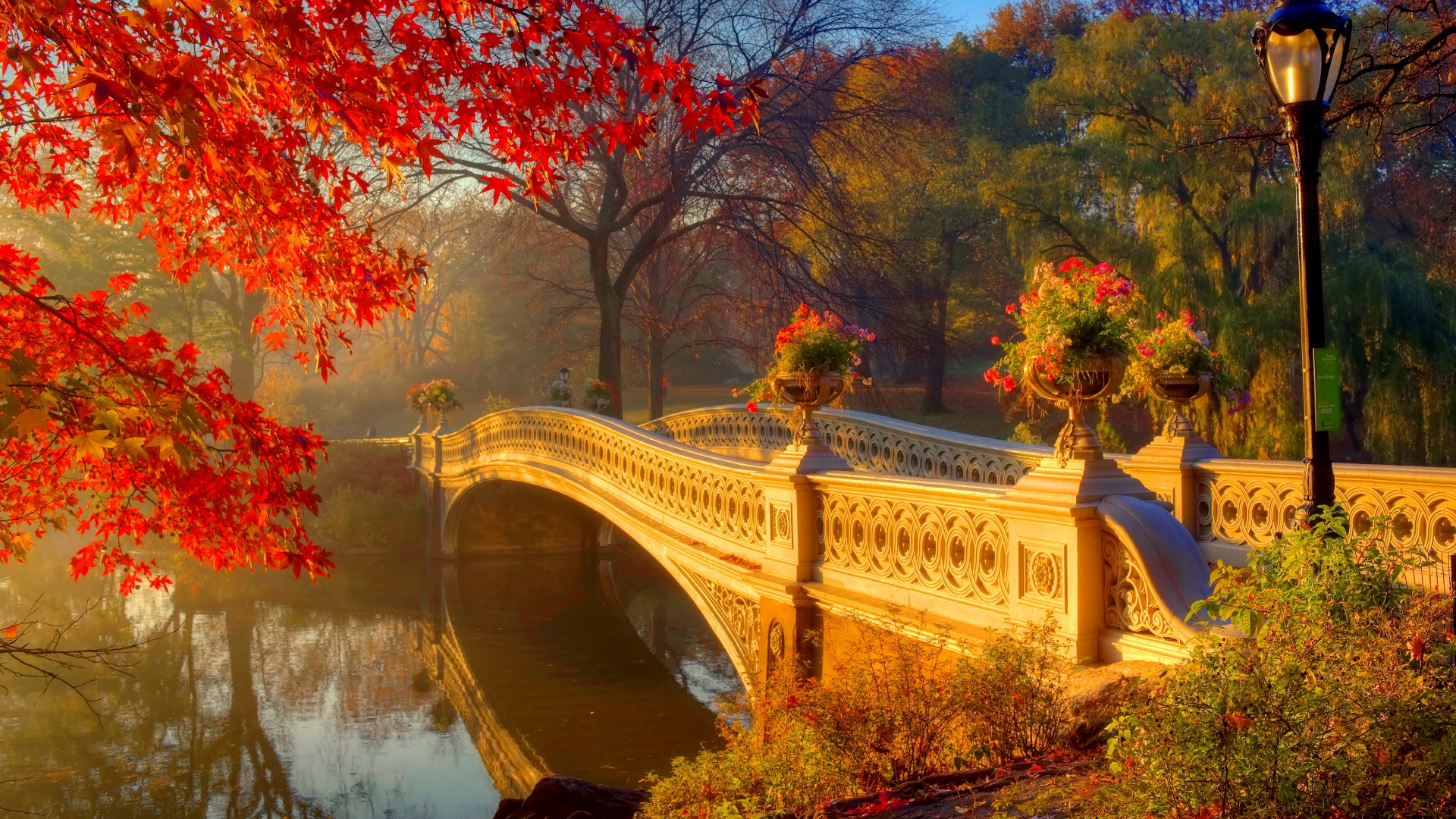 Bow Bridge Central Park Fall 1920x1080