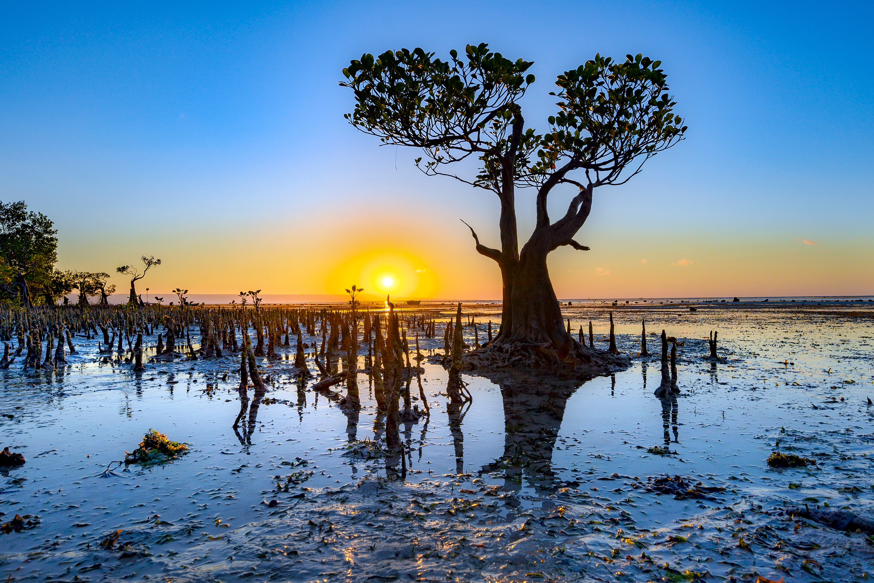 Horizon Nature Reflection Sun Sunset Water 3000x2000