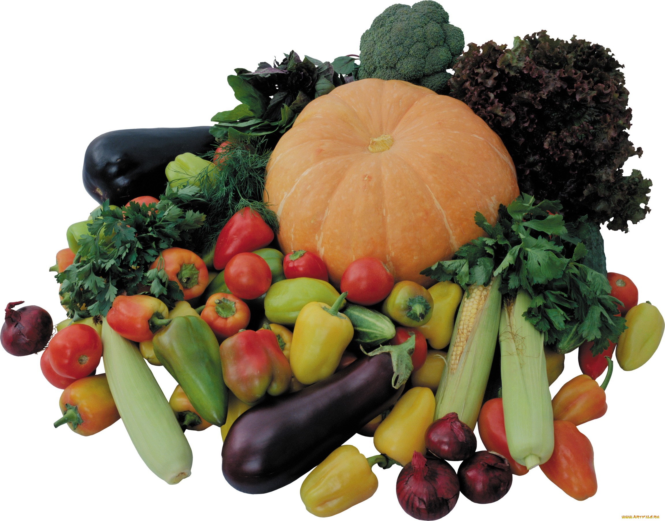 Food Vegetables 2304x1805