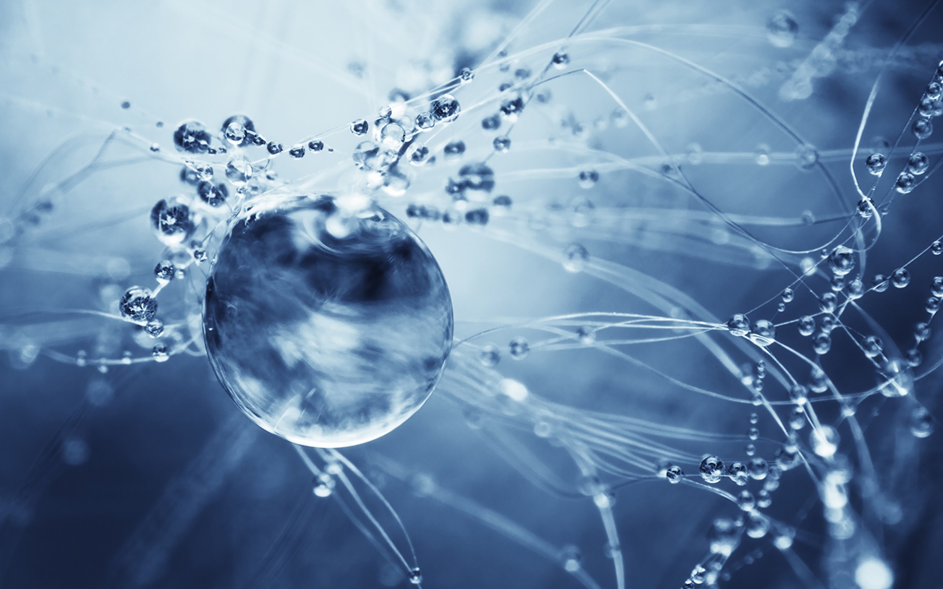 Macro Water Drops Blue Spiderwebs Sphere 1920x1200