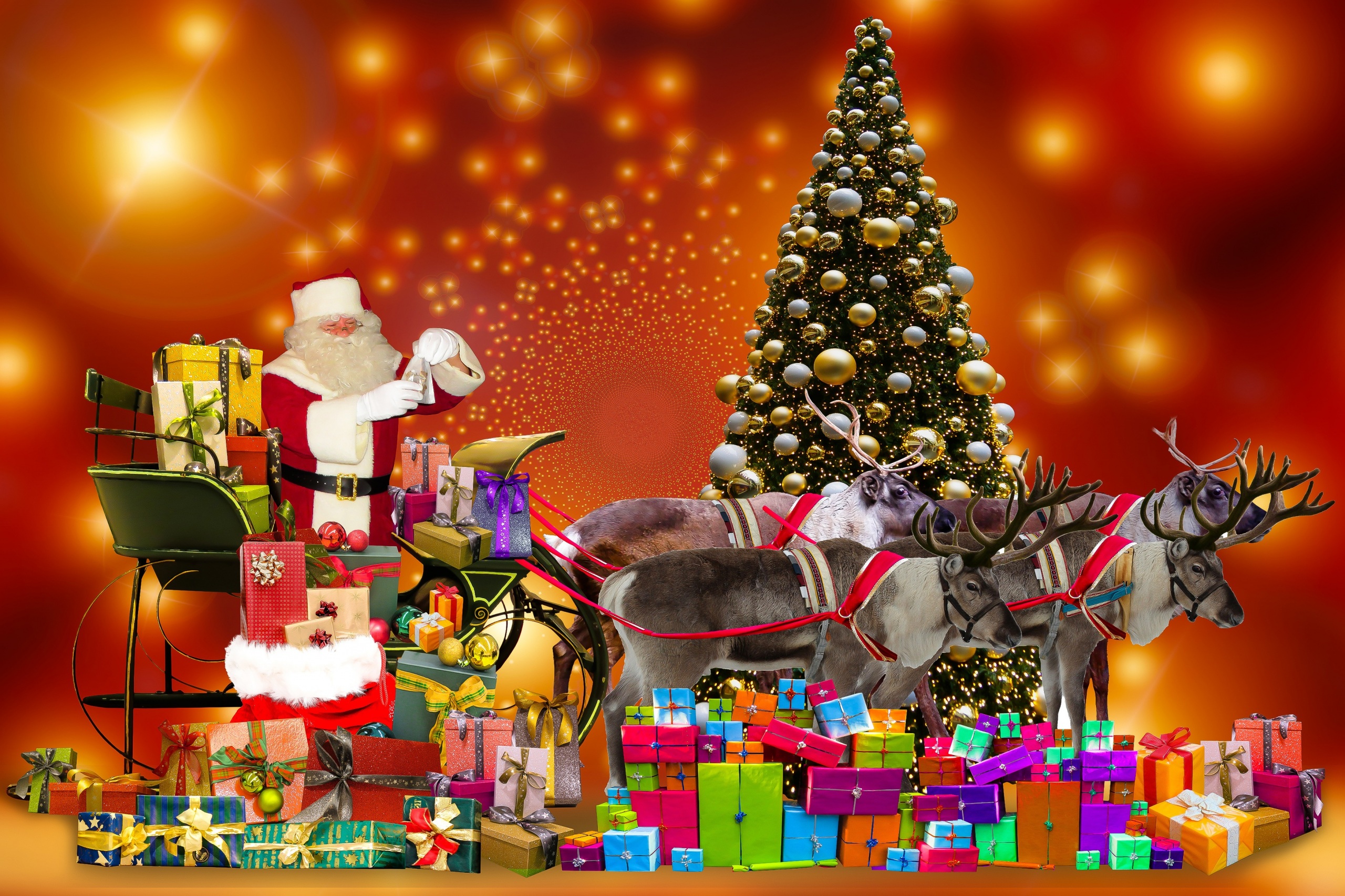 Santa Gift Christmas Tree Reindeer Sled 2560x1706