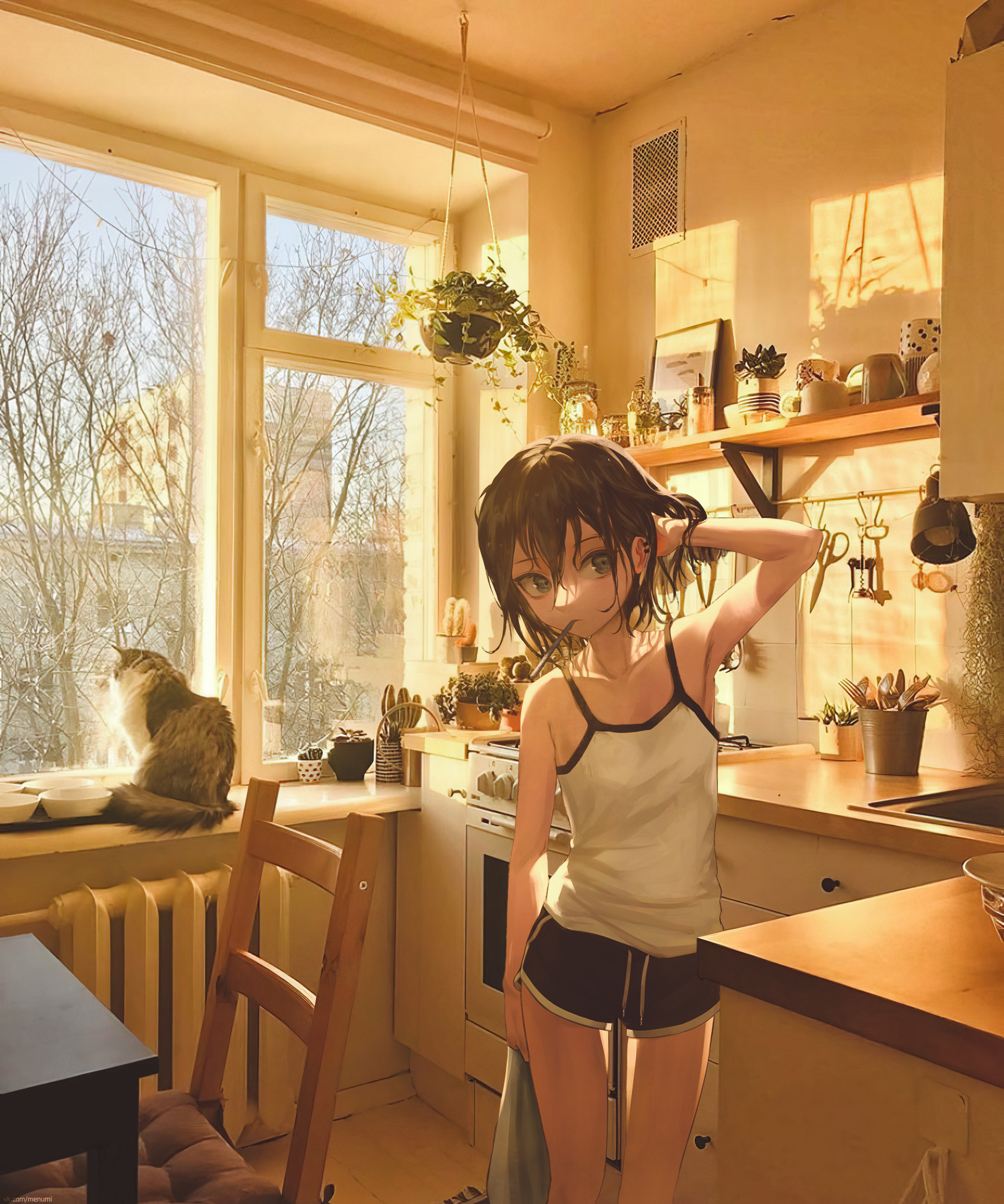 Anime 2D Kitchen Animeirl Anime Girls Cats Standing 2056x2465
