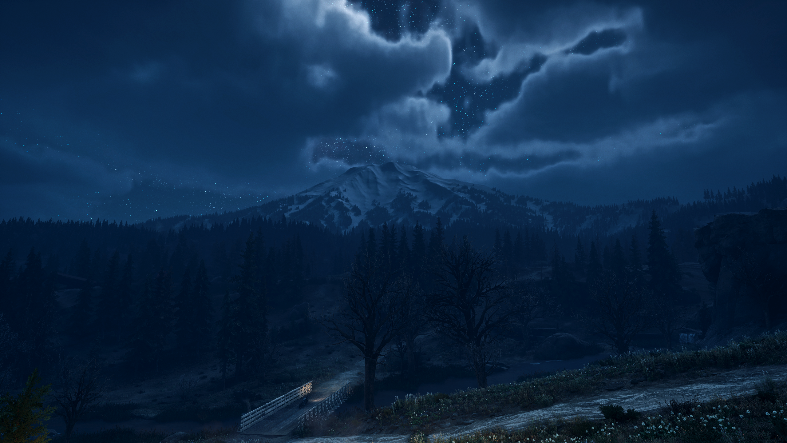 Days Gone Video Games Landscape Mountains Night Forest Bend Studios Reshade Snow Digital Art 2560x1440