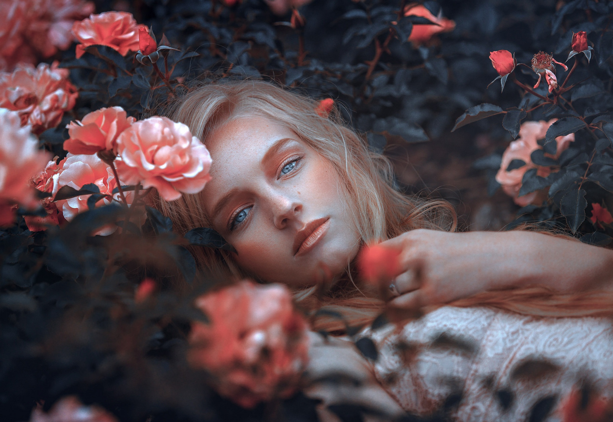 Blonde Blue Eyes Flower Lying Down Pink Flower Rose 2048x1411