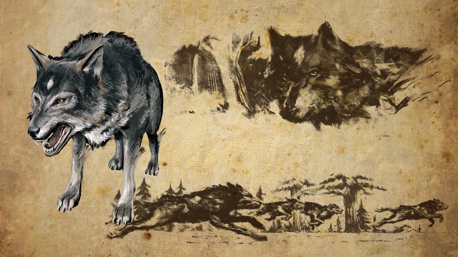 Wolf Concept Art 1920x1080