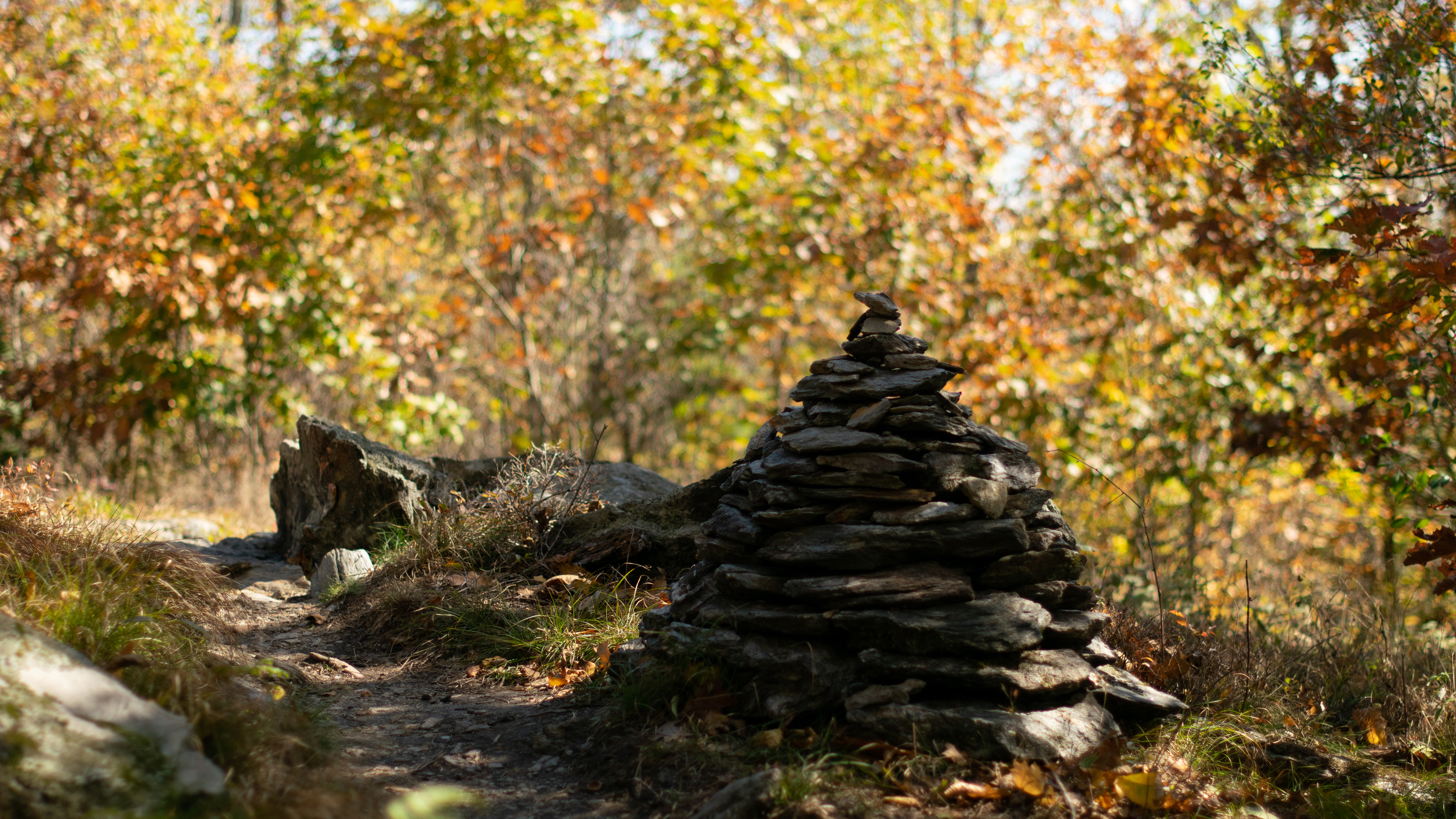 Pathway Rock Pile Foliage Bokeh Kyle Larivee Fall Path Forest 3840x2160