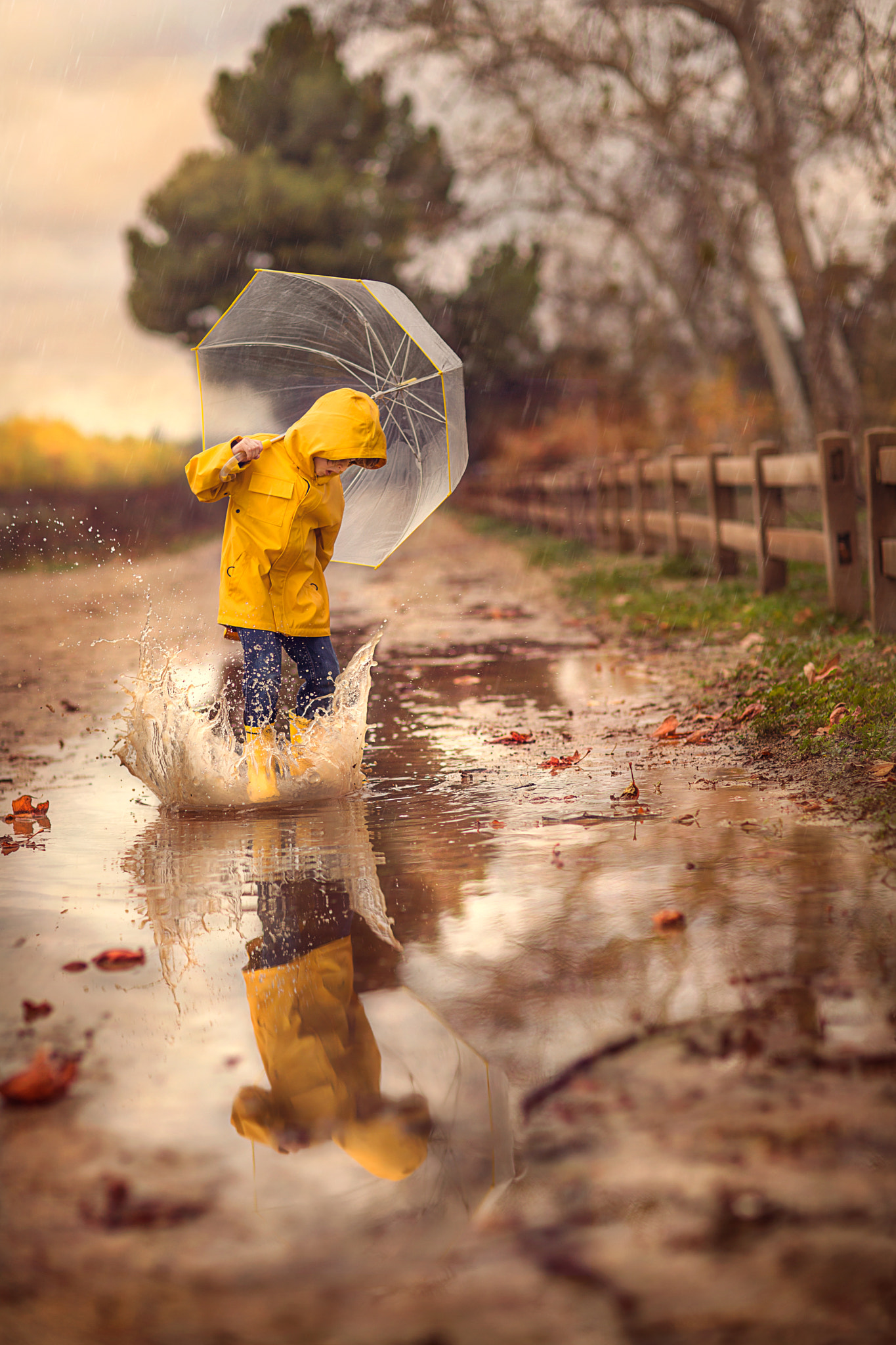 Jessica Drossin Children Umbrella Raincoat Yellow Raincoat Water Splash Reflection Fallen Leaves Ove 1365x2048