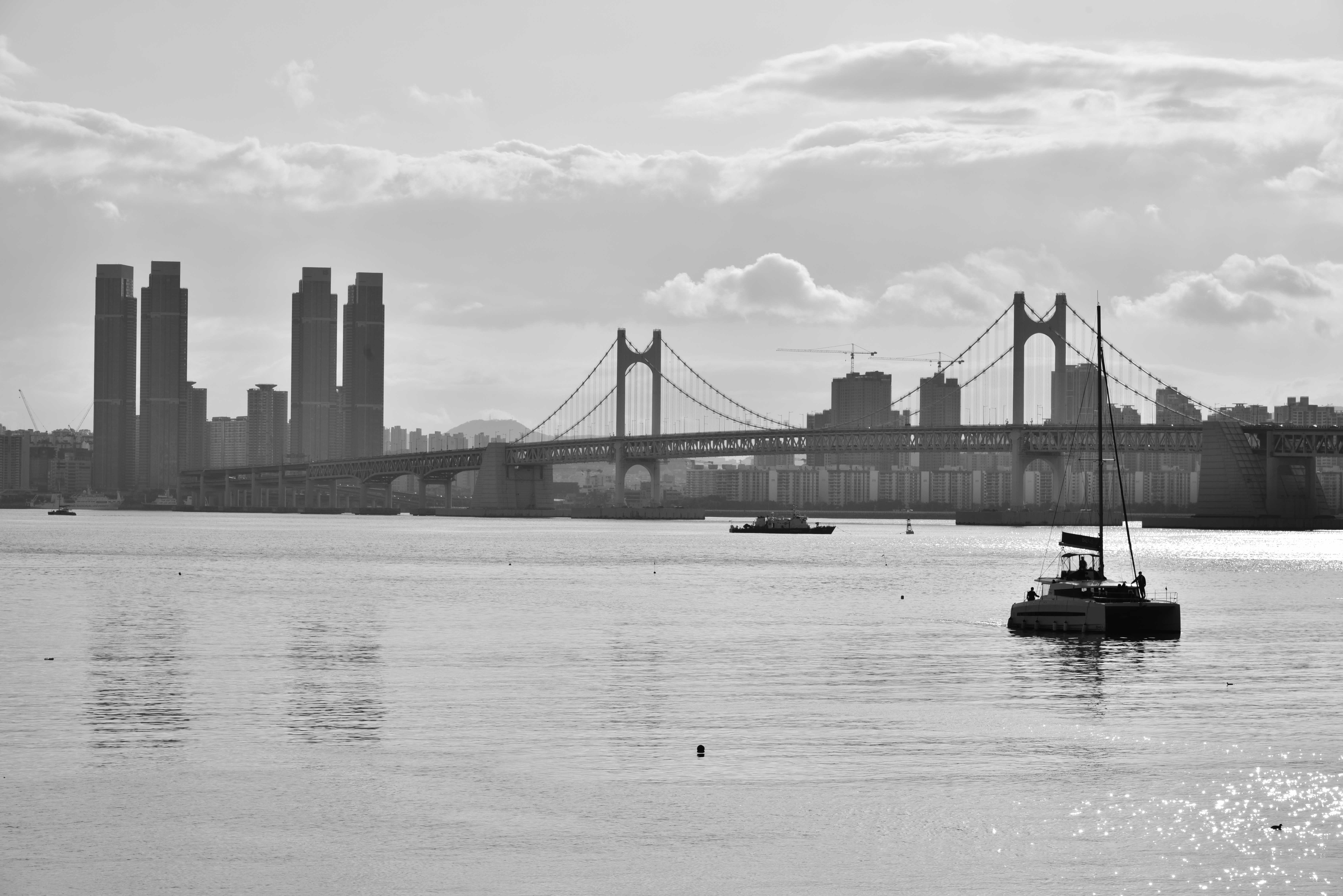 Monochrome Busan Building Skyscraper Bridge Boat 7360x4912