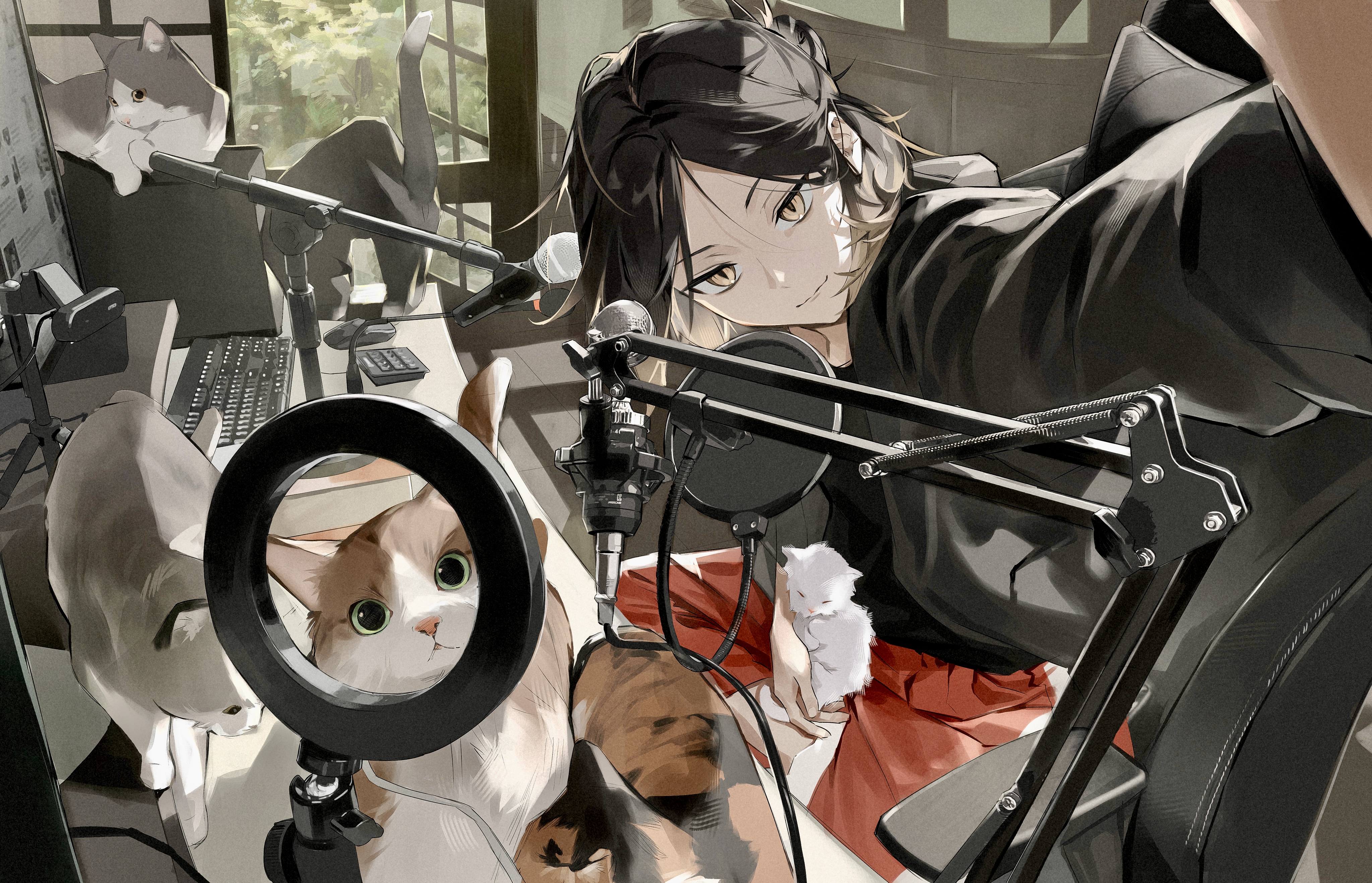 Anime Anime Girls Cats Haikyuu 4094x2635