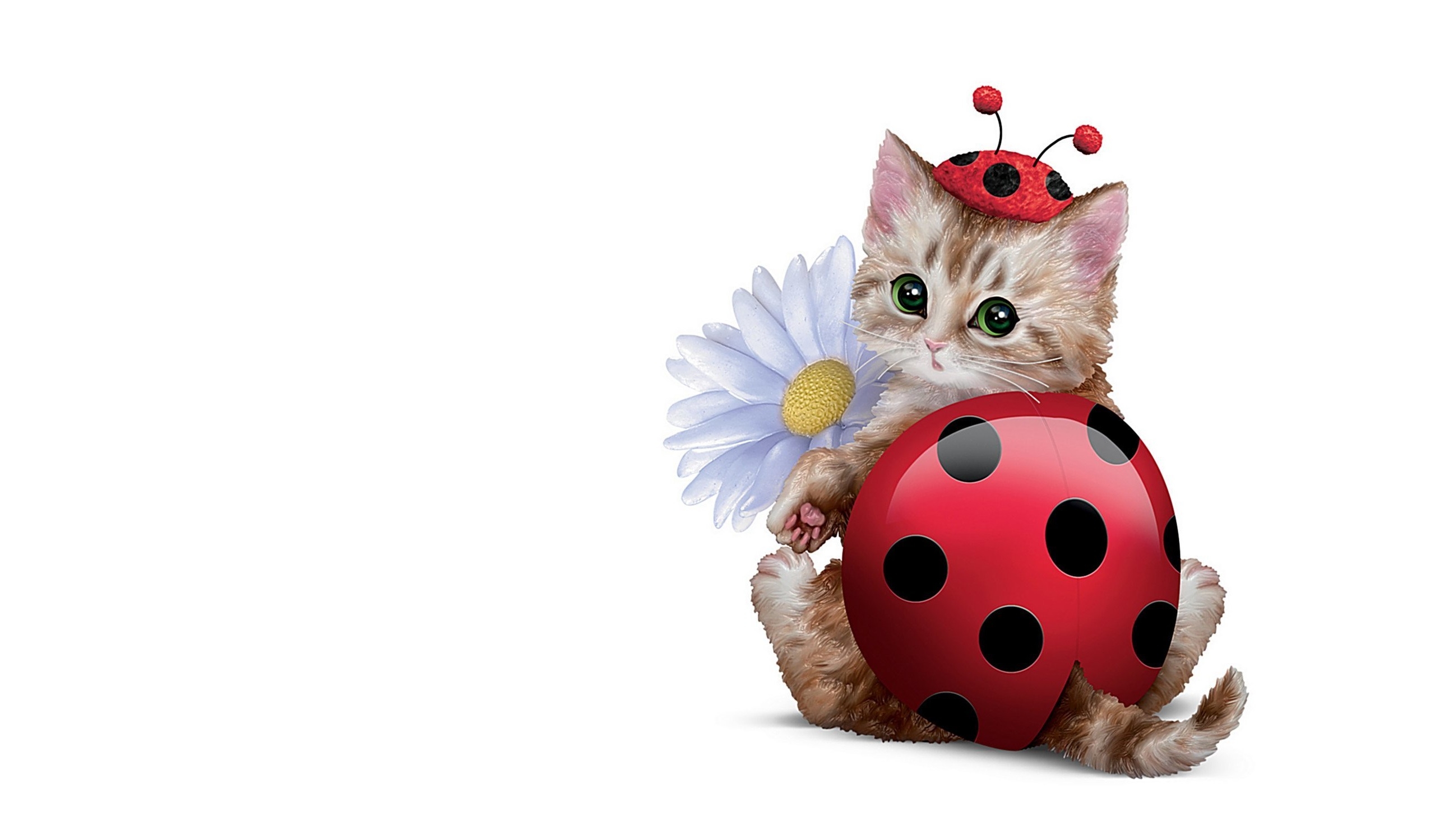 Flower Kitten Ladybug 2560x1500
