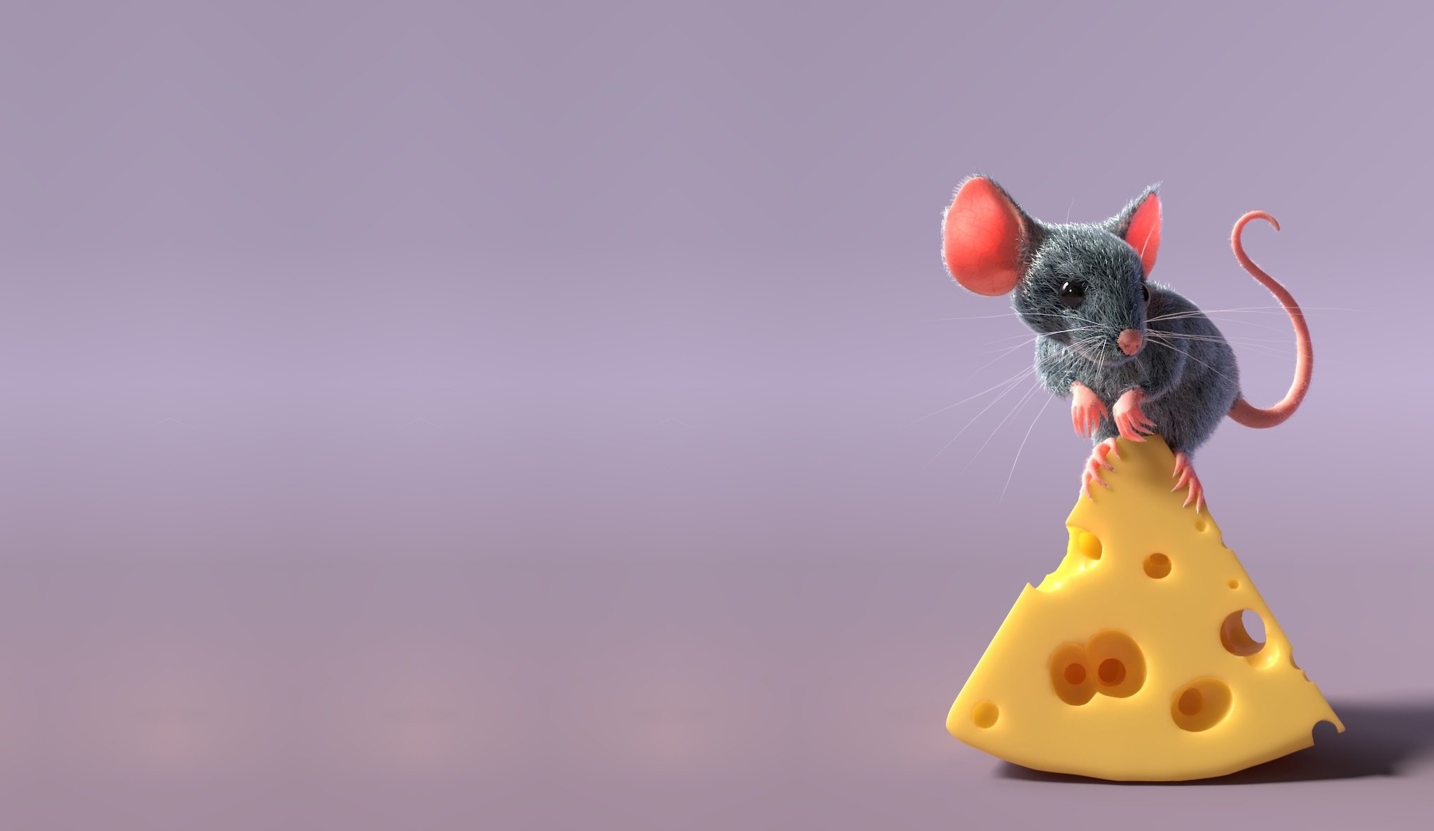 Rodent Cheese 2048x1188