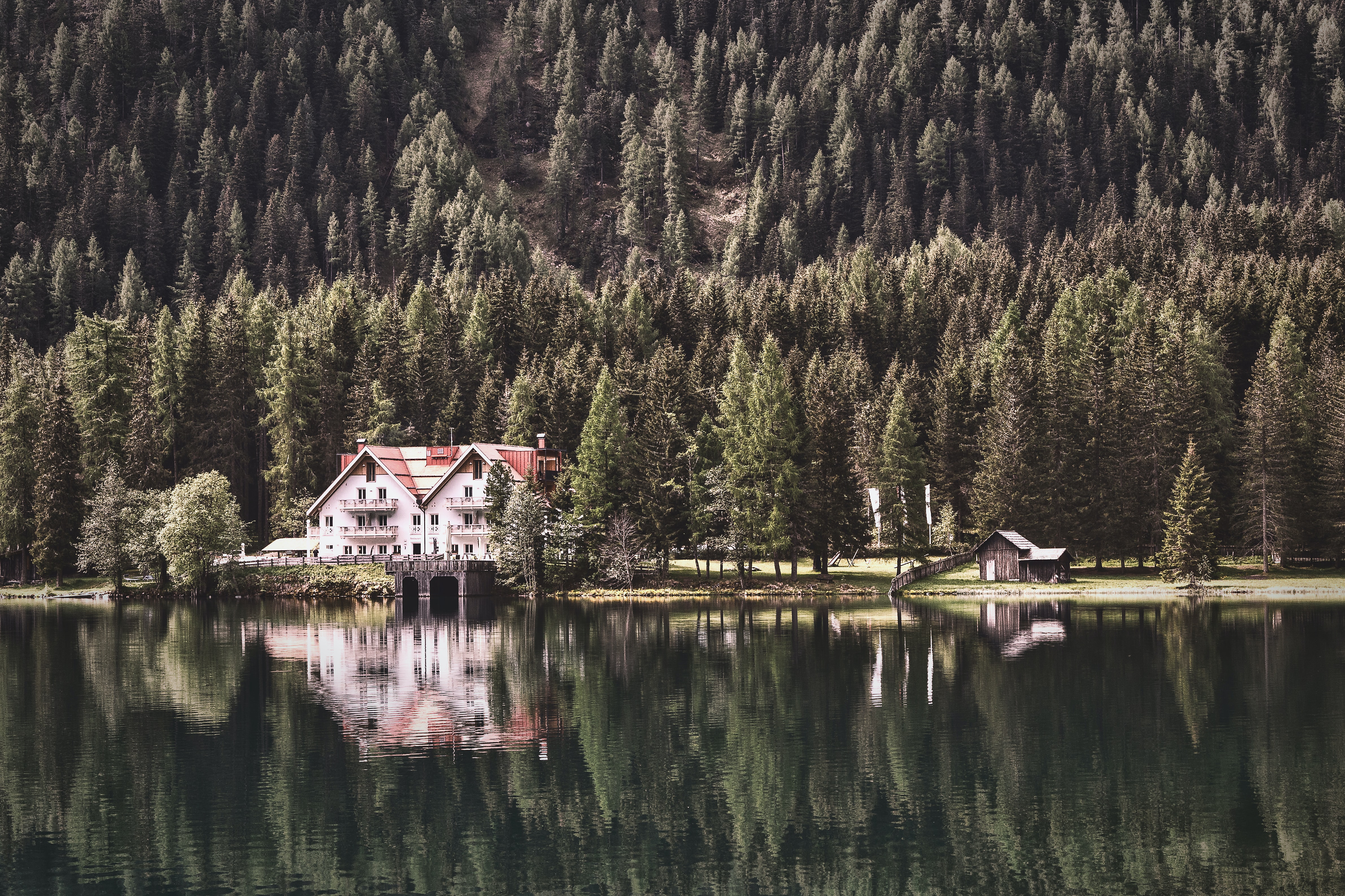 Trees Lake Antholzer See Reflection 4763x3175