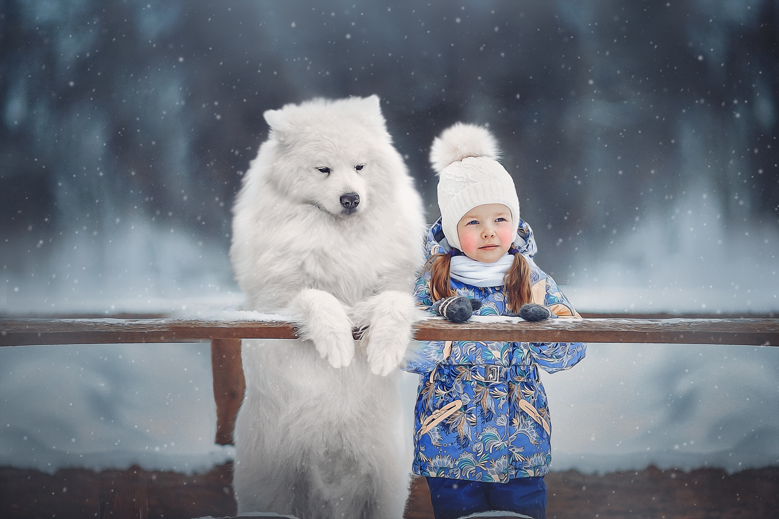 Winter Animal Dog Girl Samoyed 2500x1666