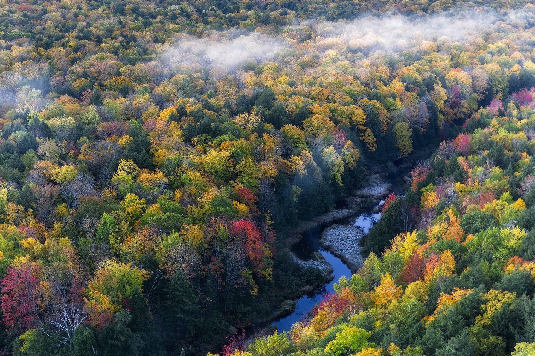 Nature Fall Foliage River 2048x1365
