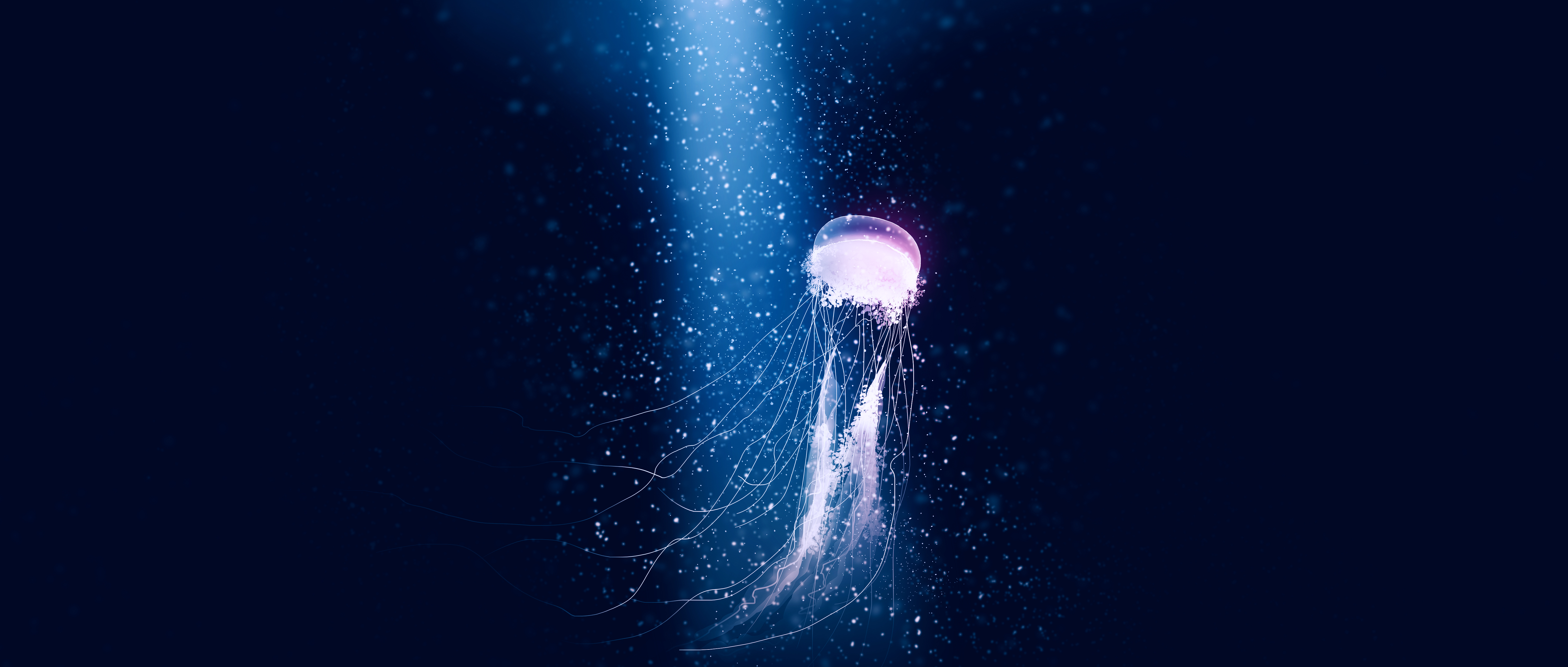 Gracile Jellyfish Artwork Digital Art Digital Painting Sea Deep Sea 5640x2400