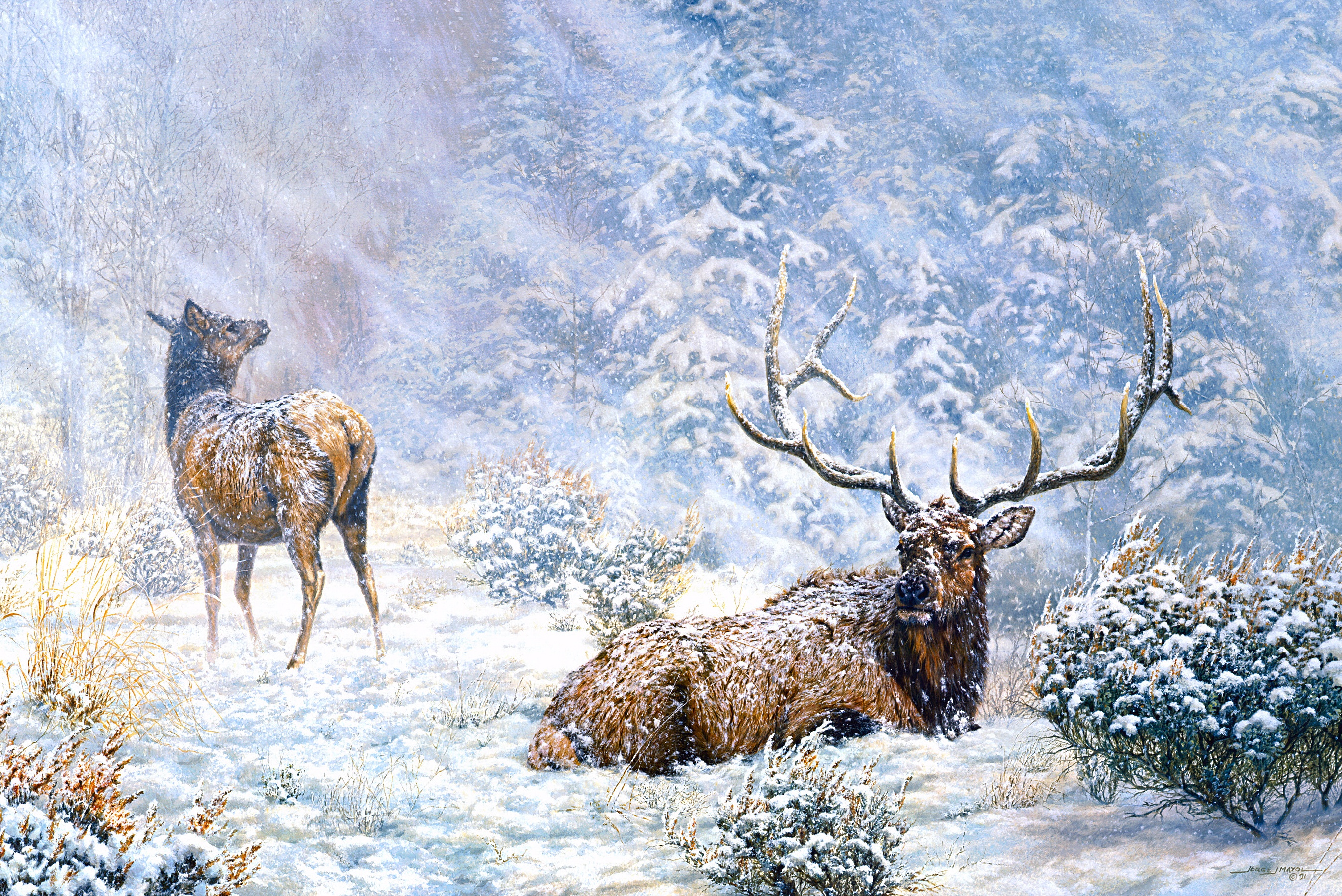 Winter Snow Painting 2699x1803