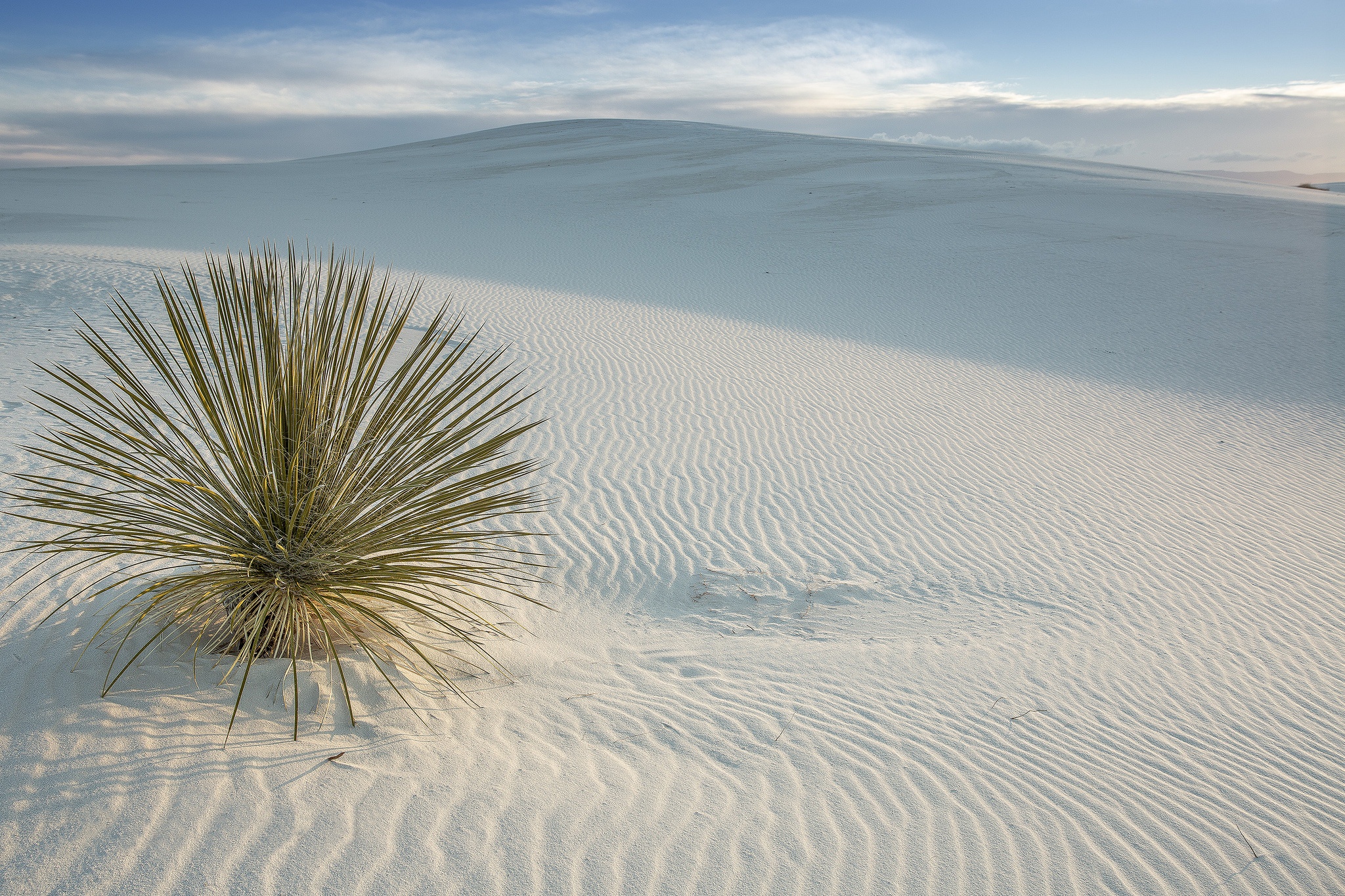 Nature Sand Dune 2048x1365