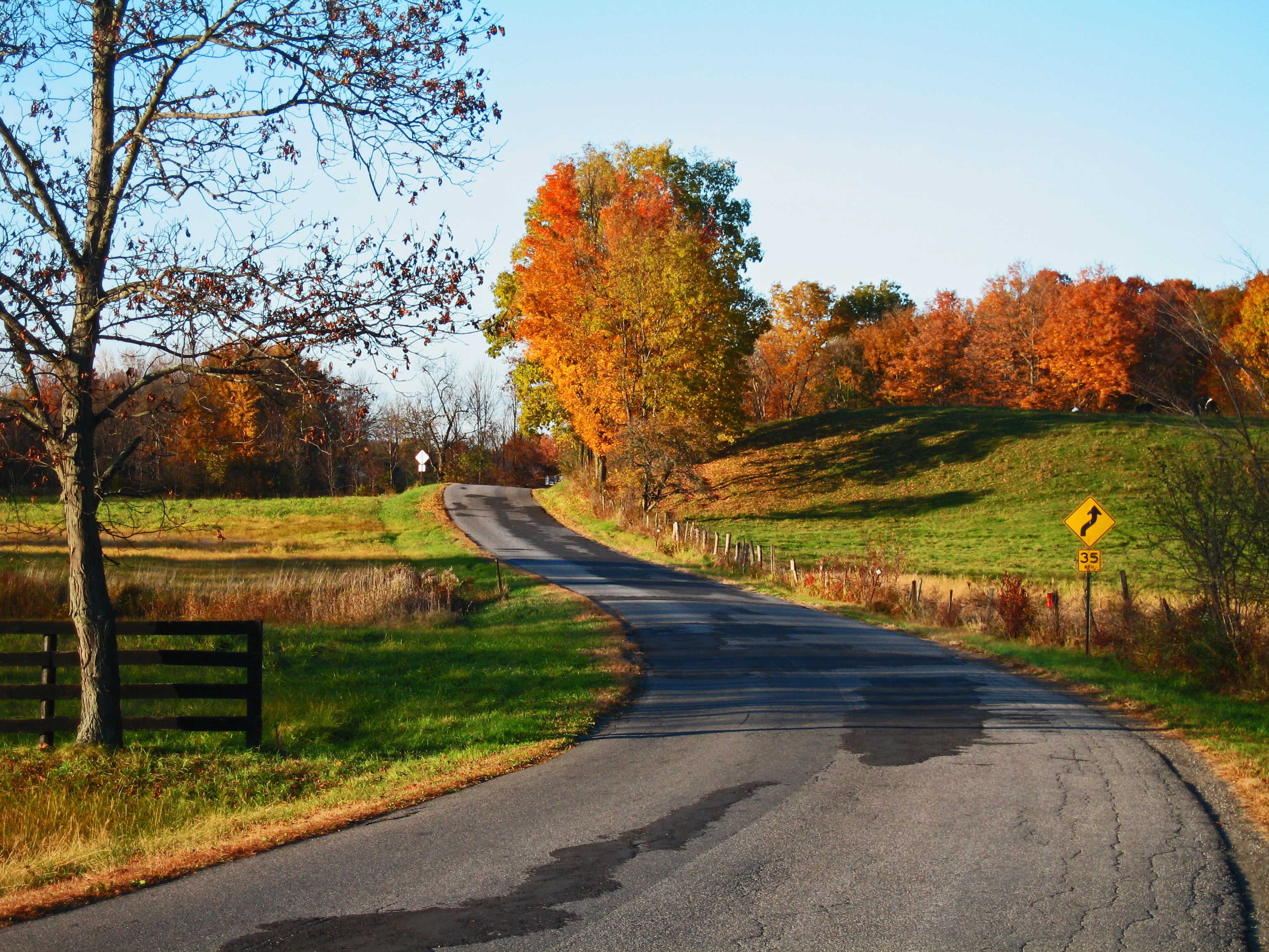 New York State Landscape Trees Fall Road Fence Grass 3072x2304