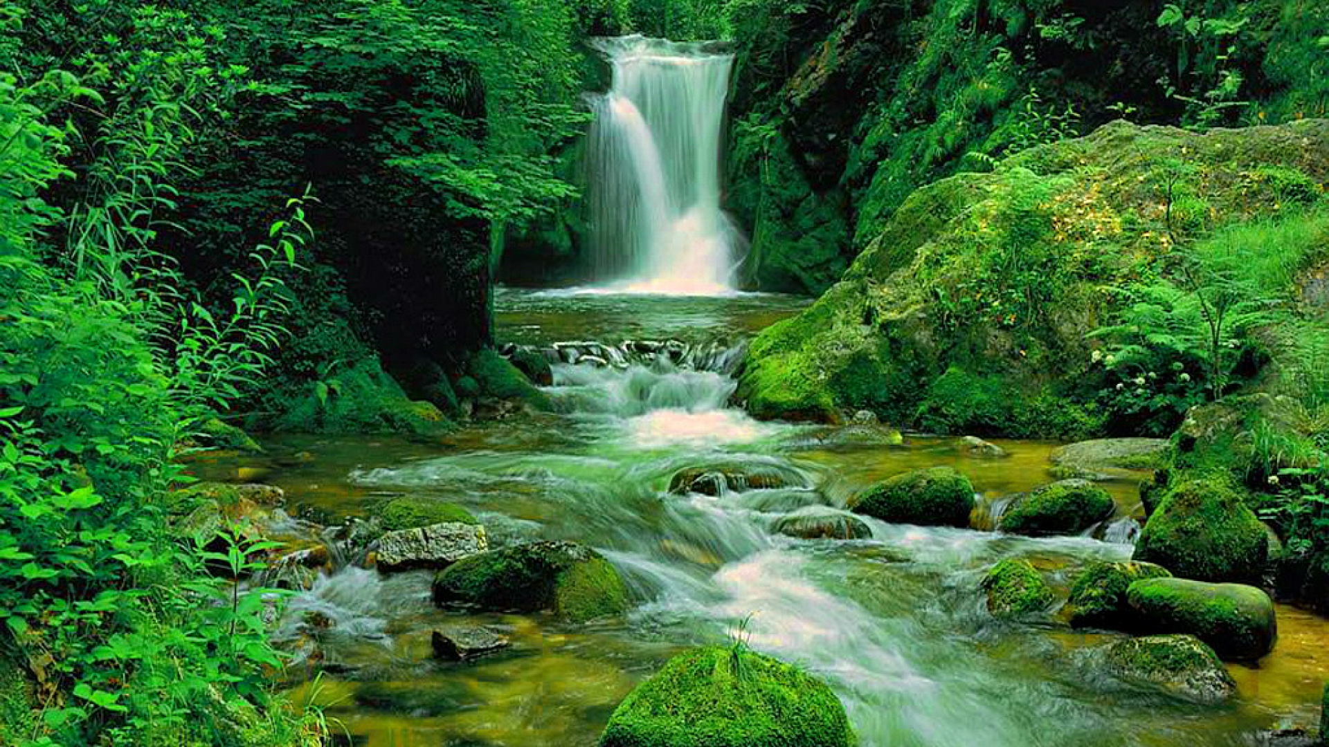 Forest Green Nature Waterfall 1920x1080